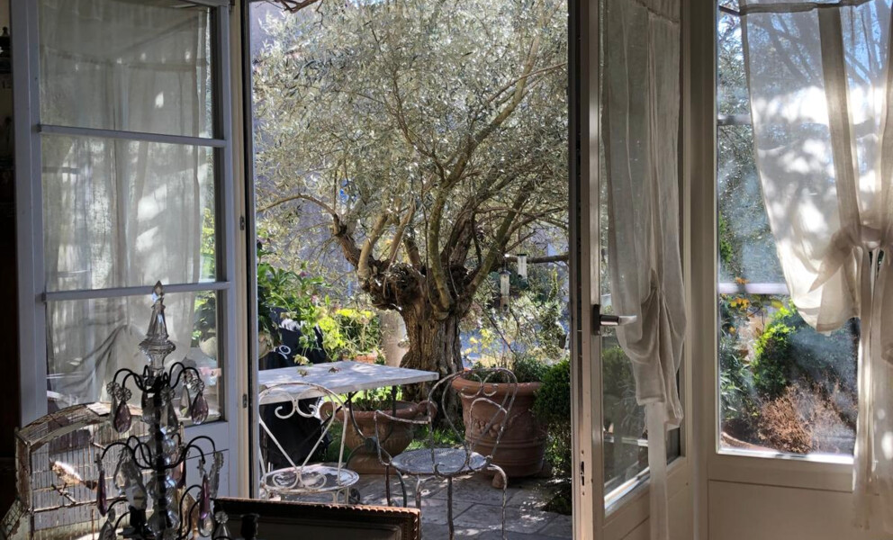 Blick in einen Garten durch offene Türen