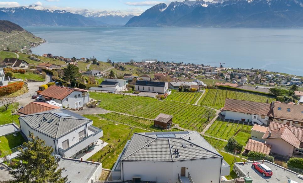 Seeblick über Wohngebiet und Weinberge