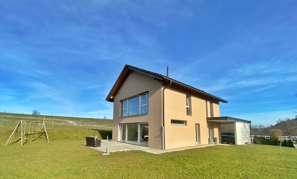 Modernes Einfamilienhaus mit Garten
