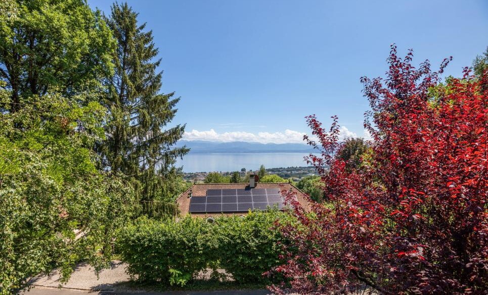 Seeblick mit Solardach über grüner Gartenlandschaft