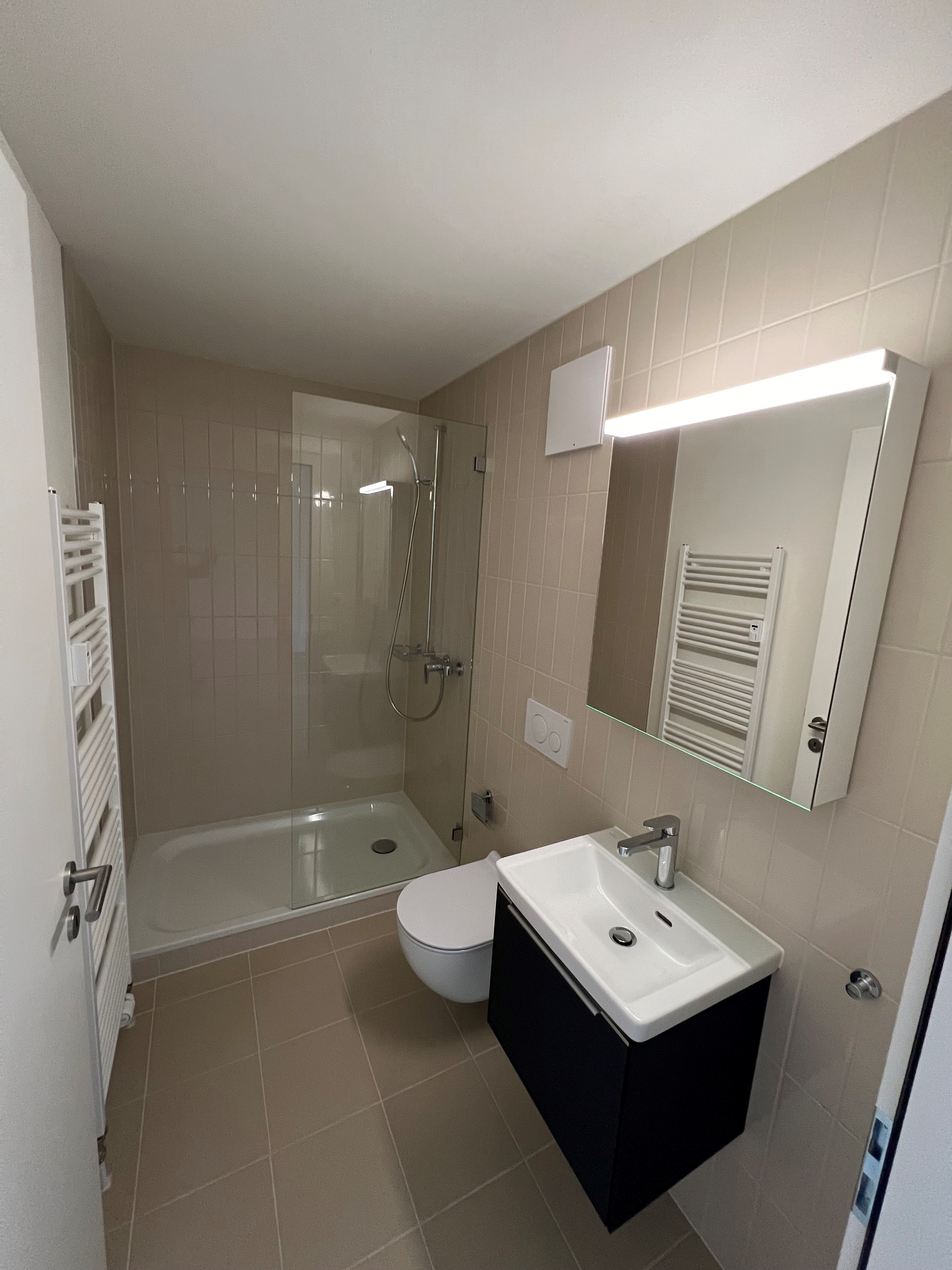 Modernes Badezimmer mit Dusche und Waschtisch