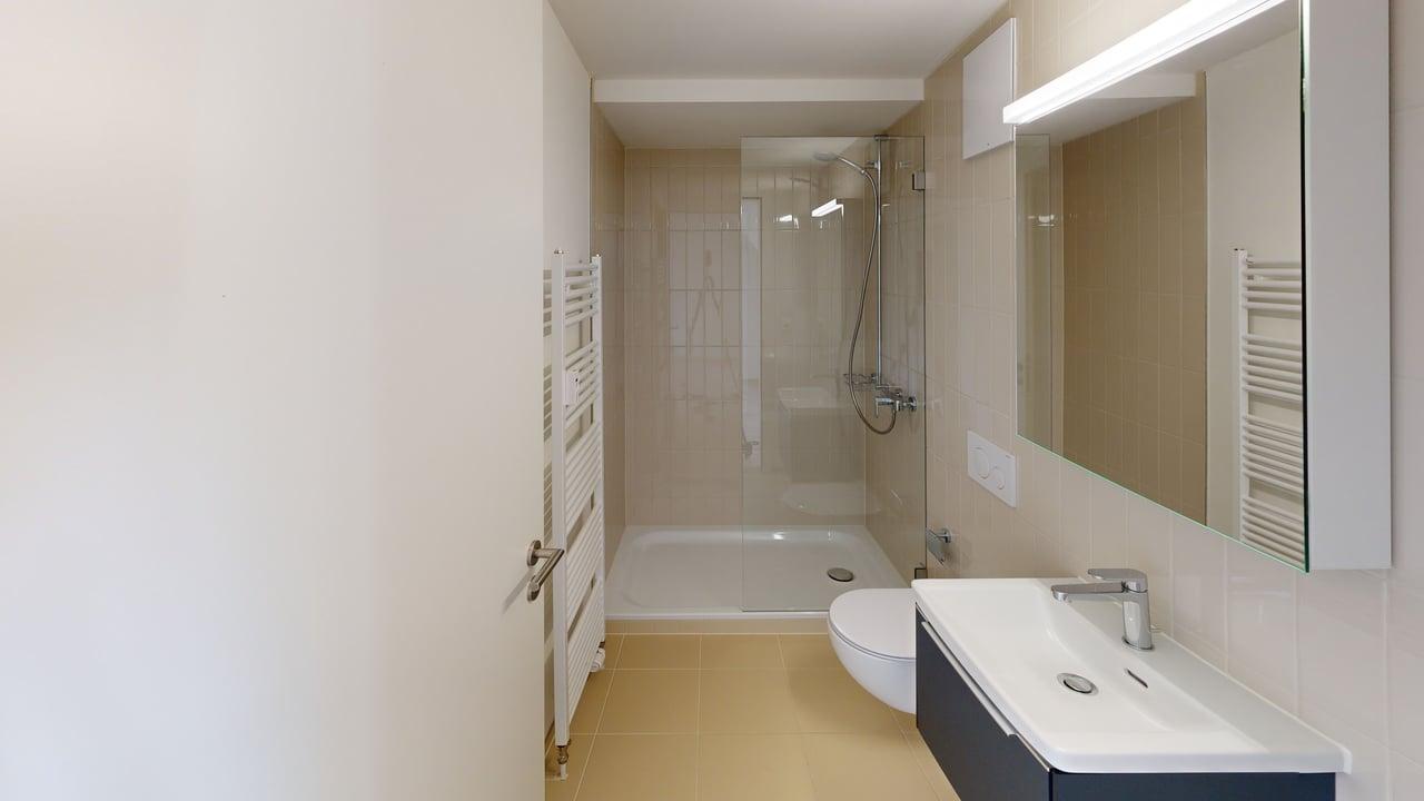 Modernes Badezimmer mit Dusche und Waschtisch
