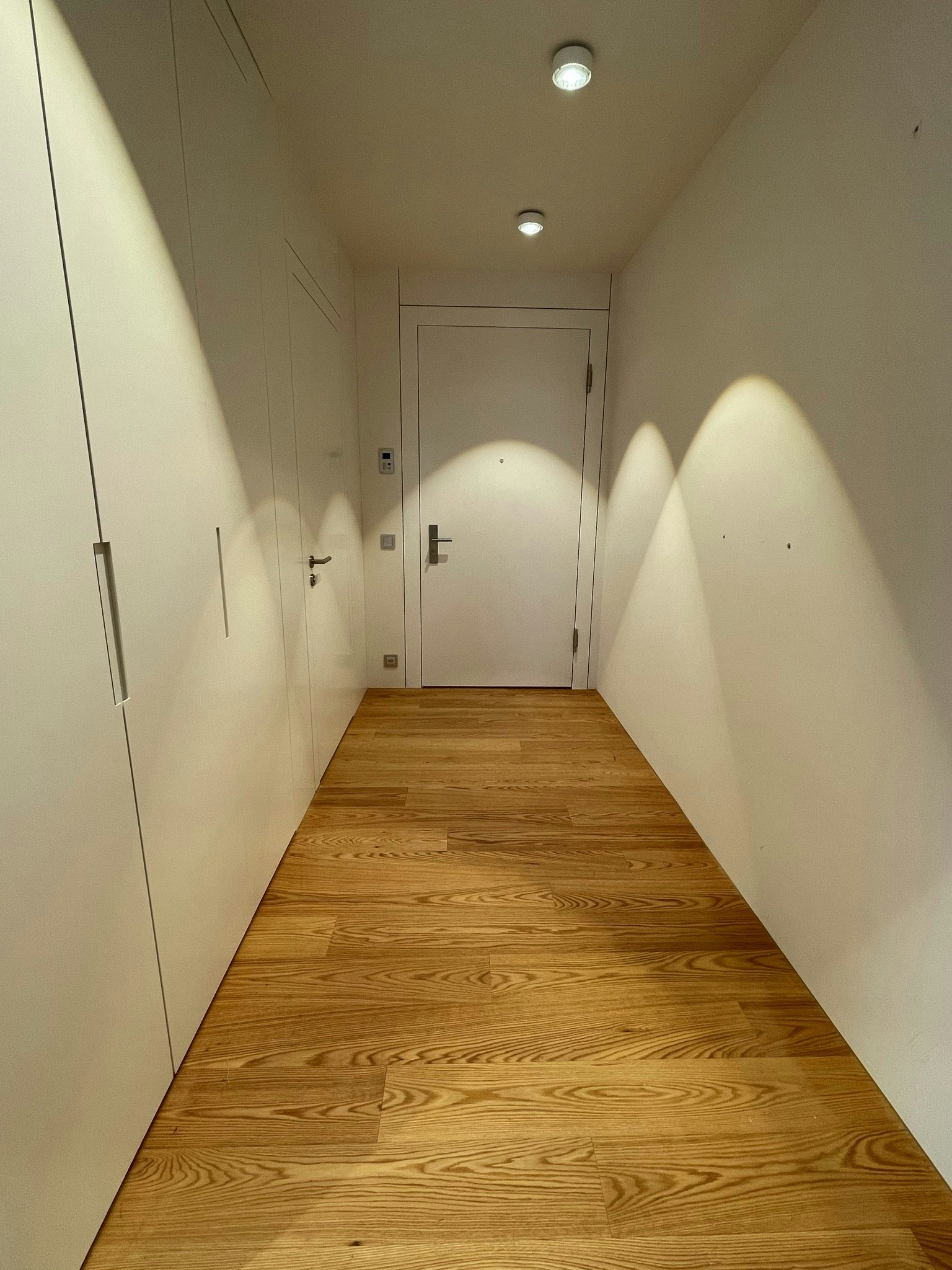Moderner Flur mit Holzfußboden