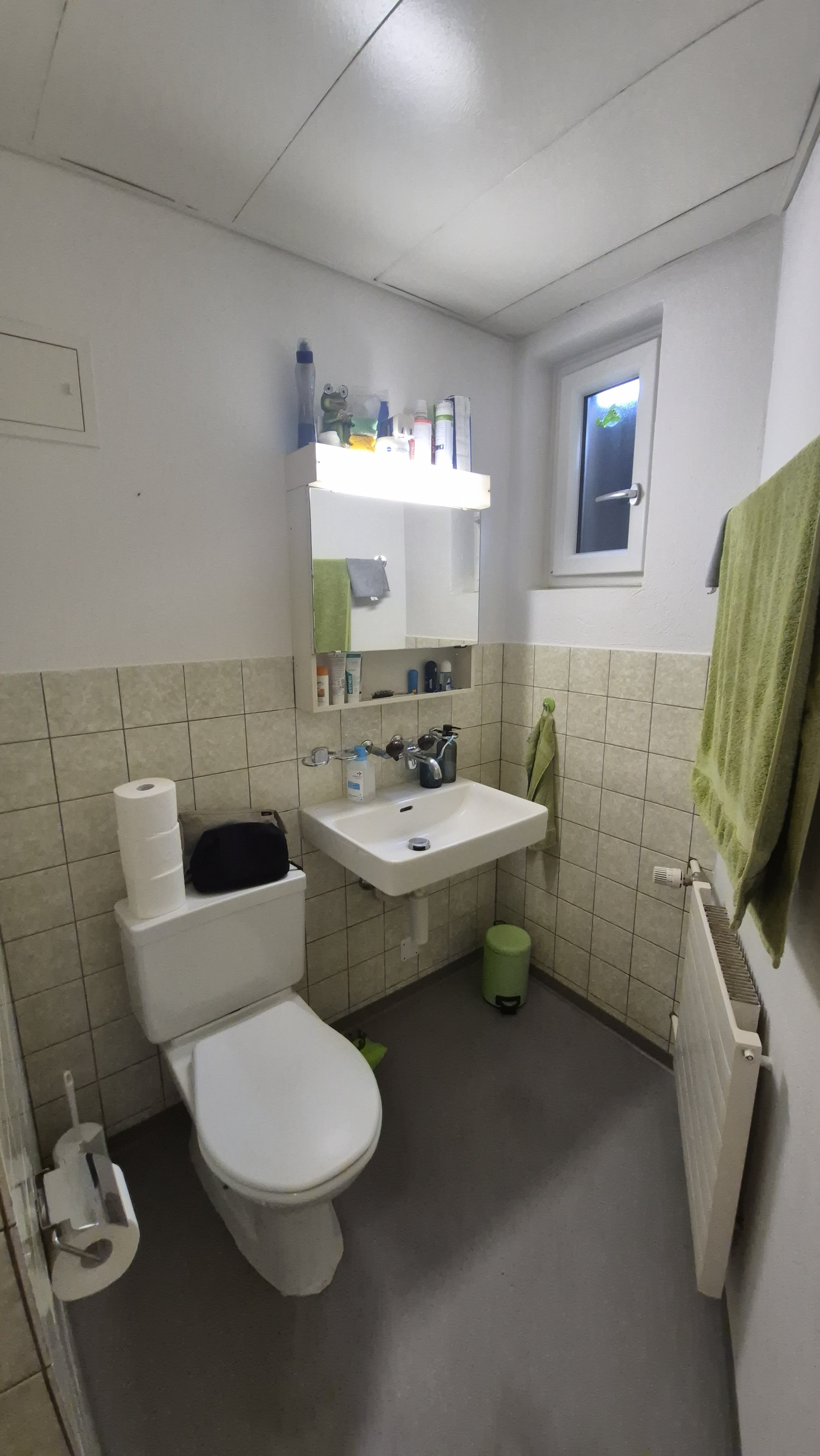 Kleines Badezimmer mit WC und Waschbecken