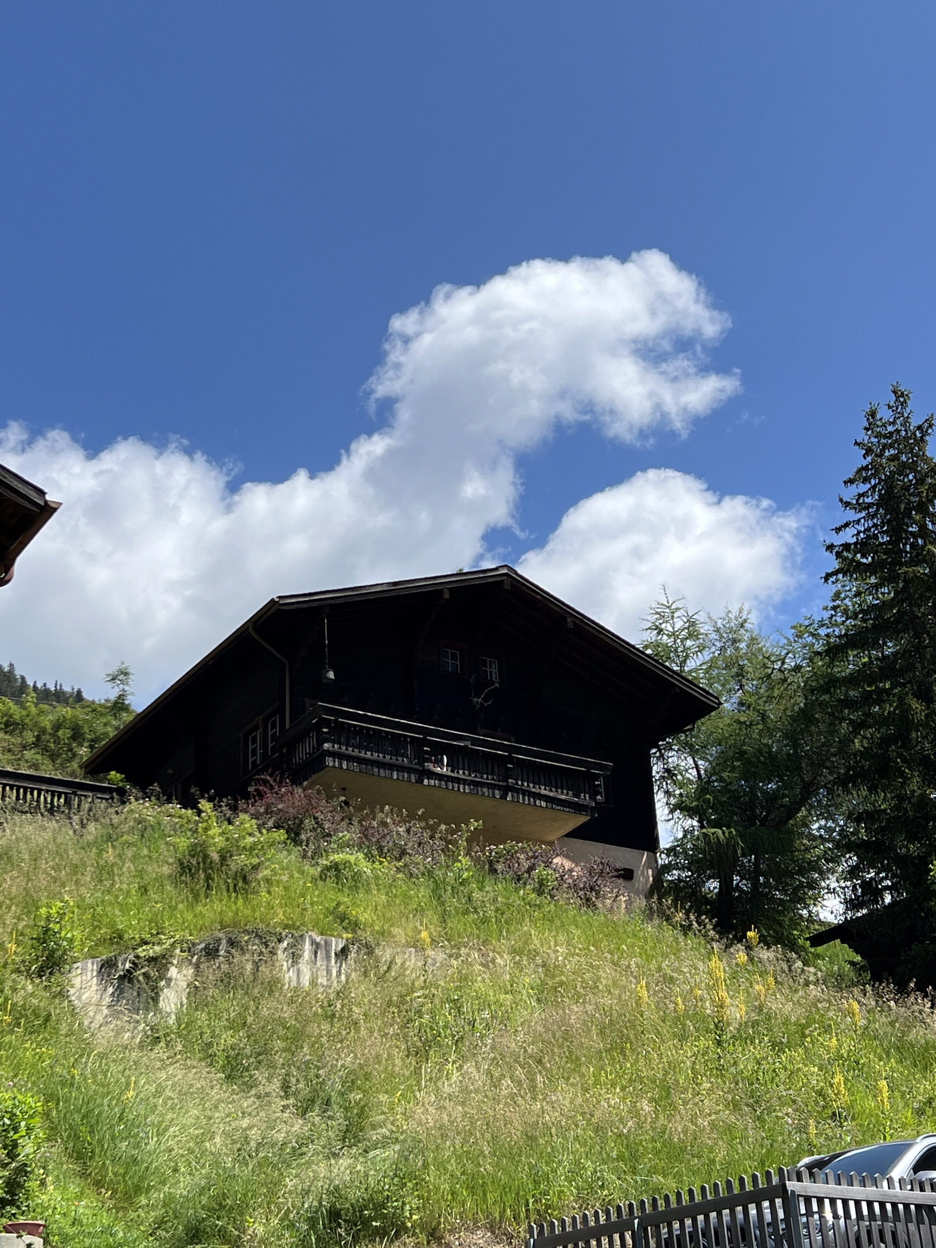Alpenhaus am Hang