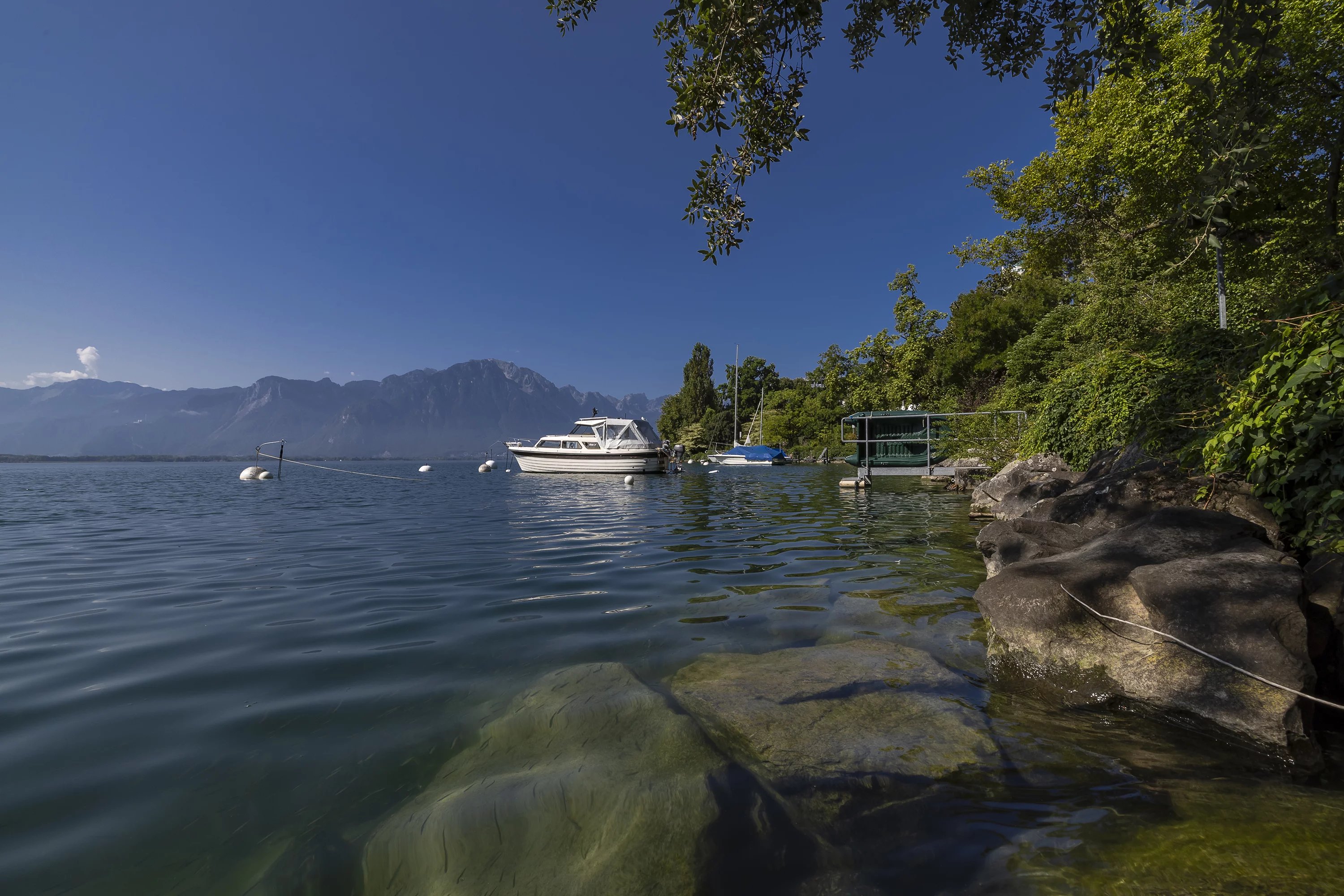 Seeufer mit Bootsanleger und Bergblick