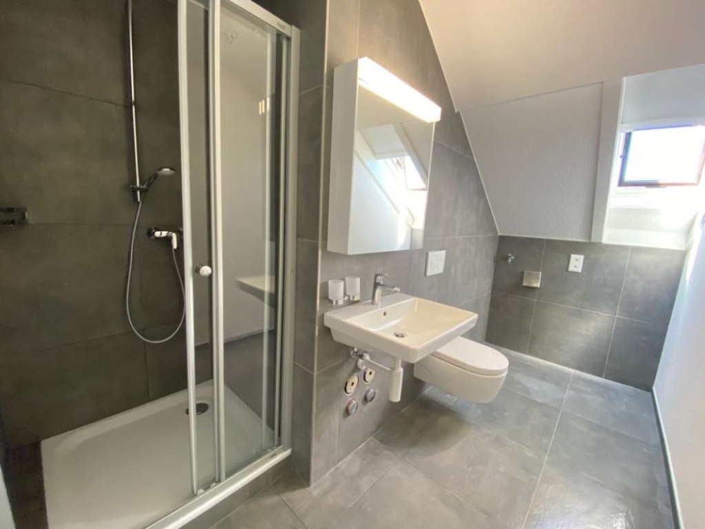 Modernes Bad mit Dusche und WC