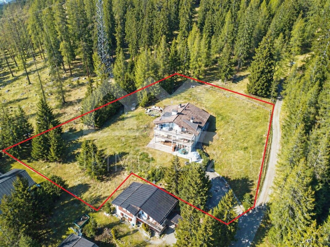 Luftaufnahme eines Waldgrundstücks mit Haus