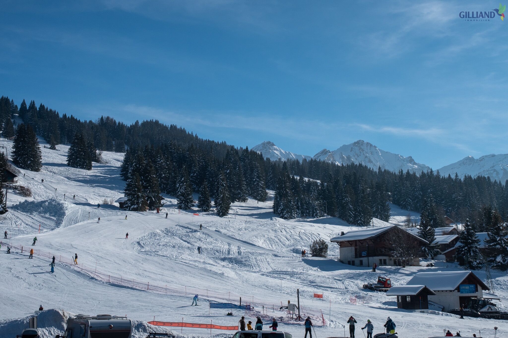Skigebiet mit Pisten und Bergpanorama