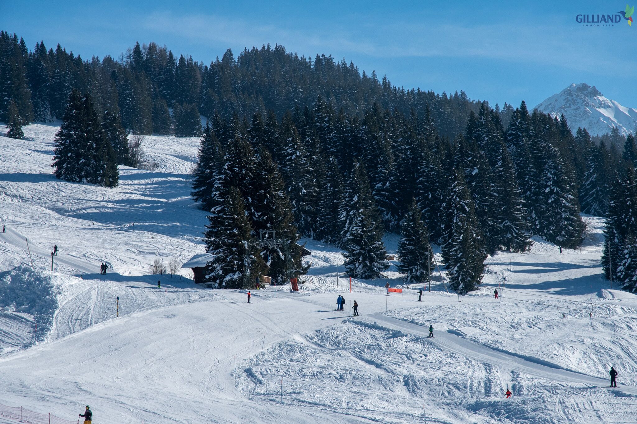 Schneelandschaft am Skihang