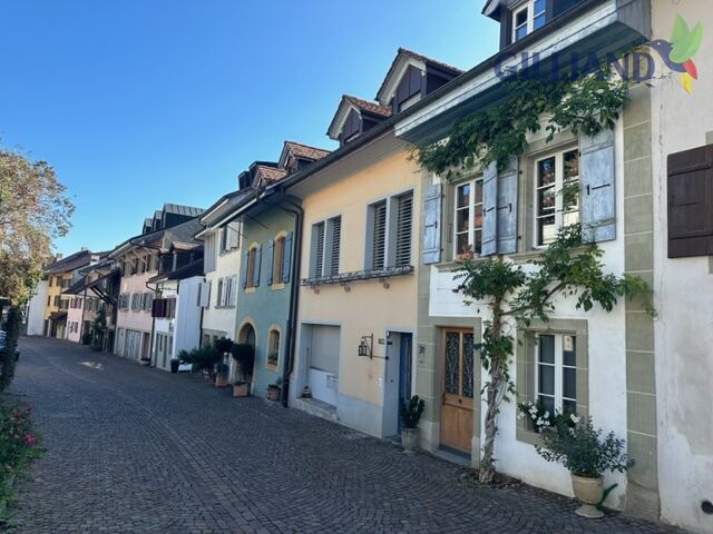 Historische Häuserzeile in gepflasterter Gasse