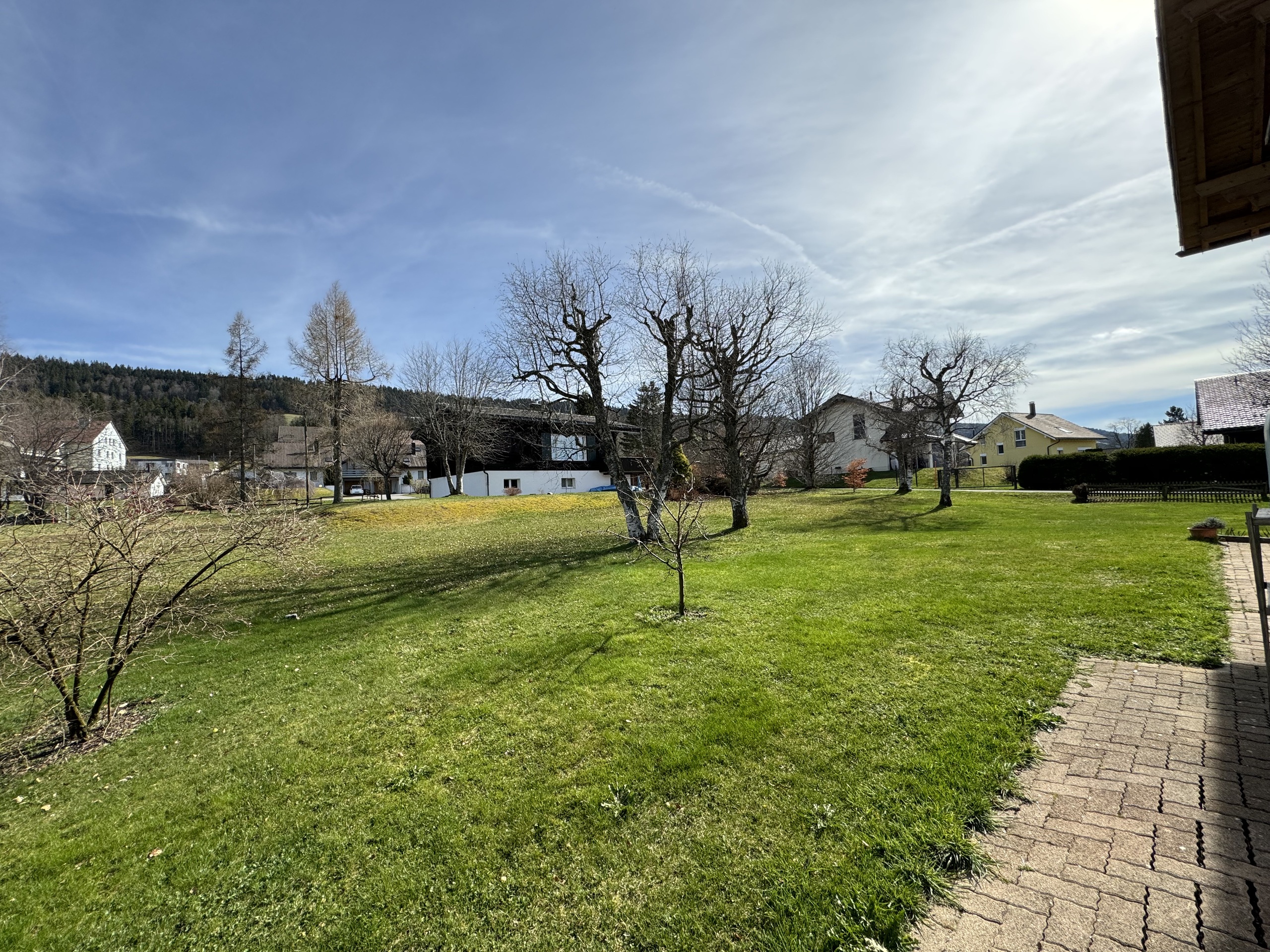 Gartenblick mit Einfamilienhäusern