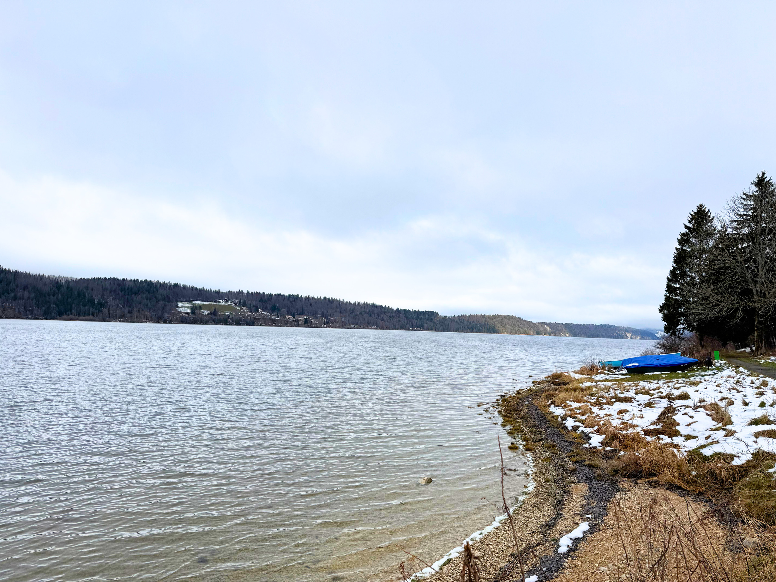 Seeufer mit Winterlandschaft