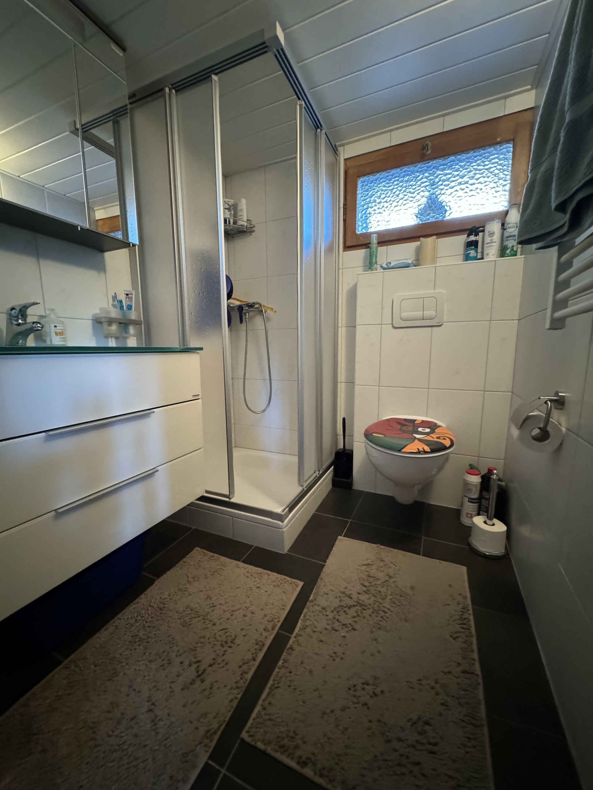Kleines Badezimmer mit Dusche und WC