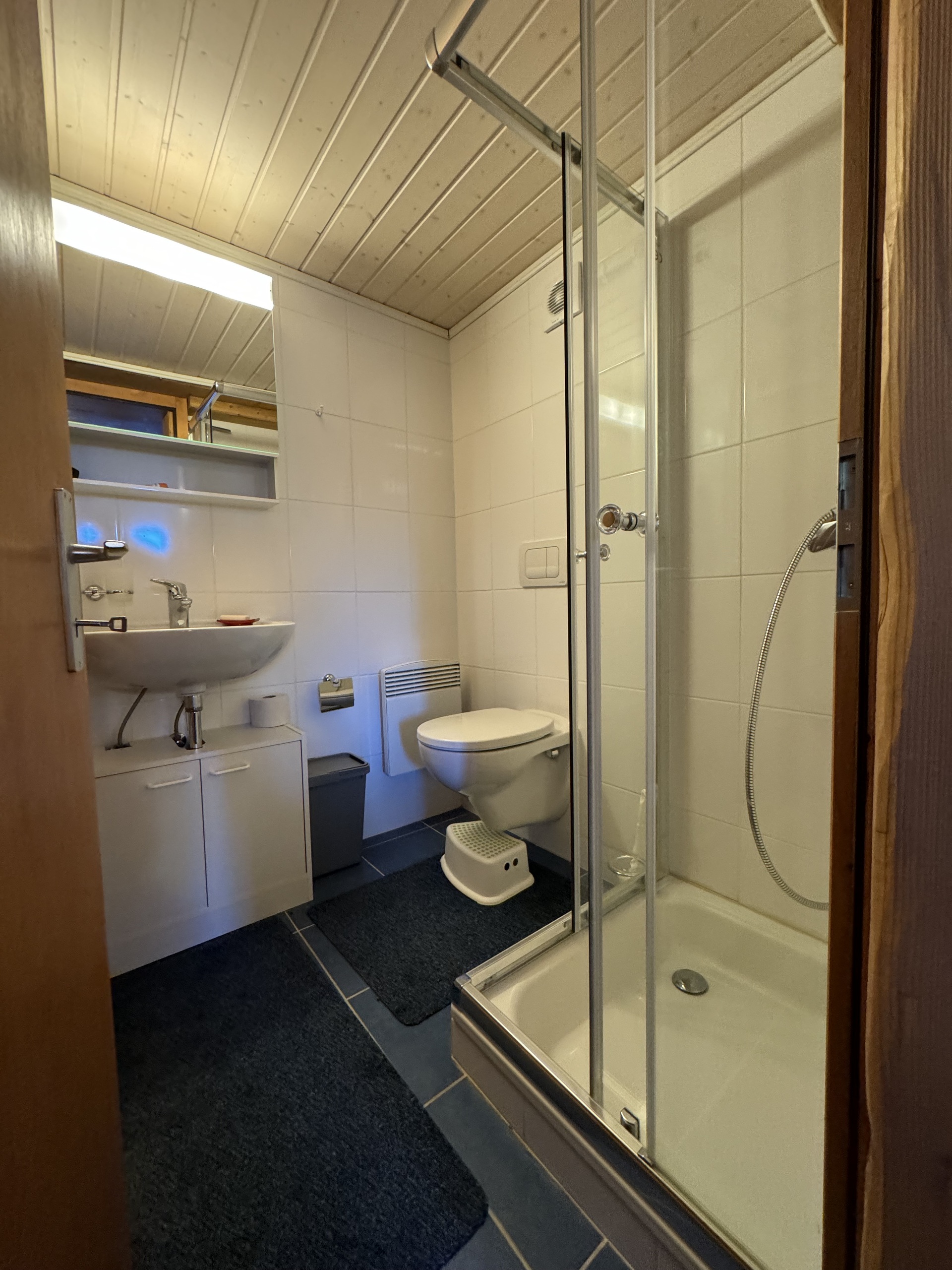 Kompaktes Badezimmer mit Dusche und WC