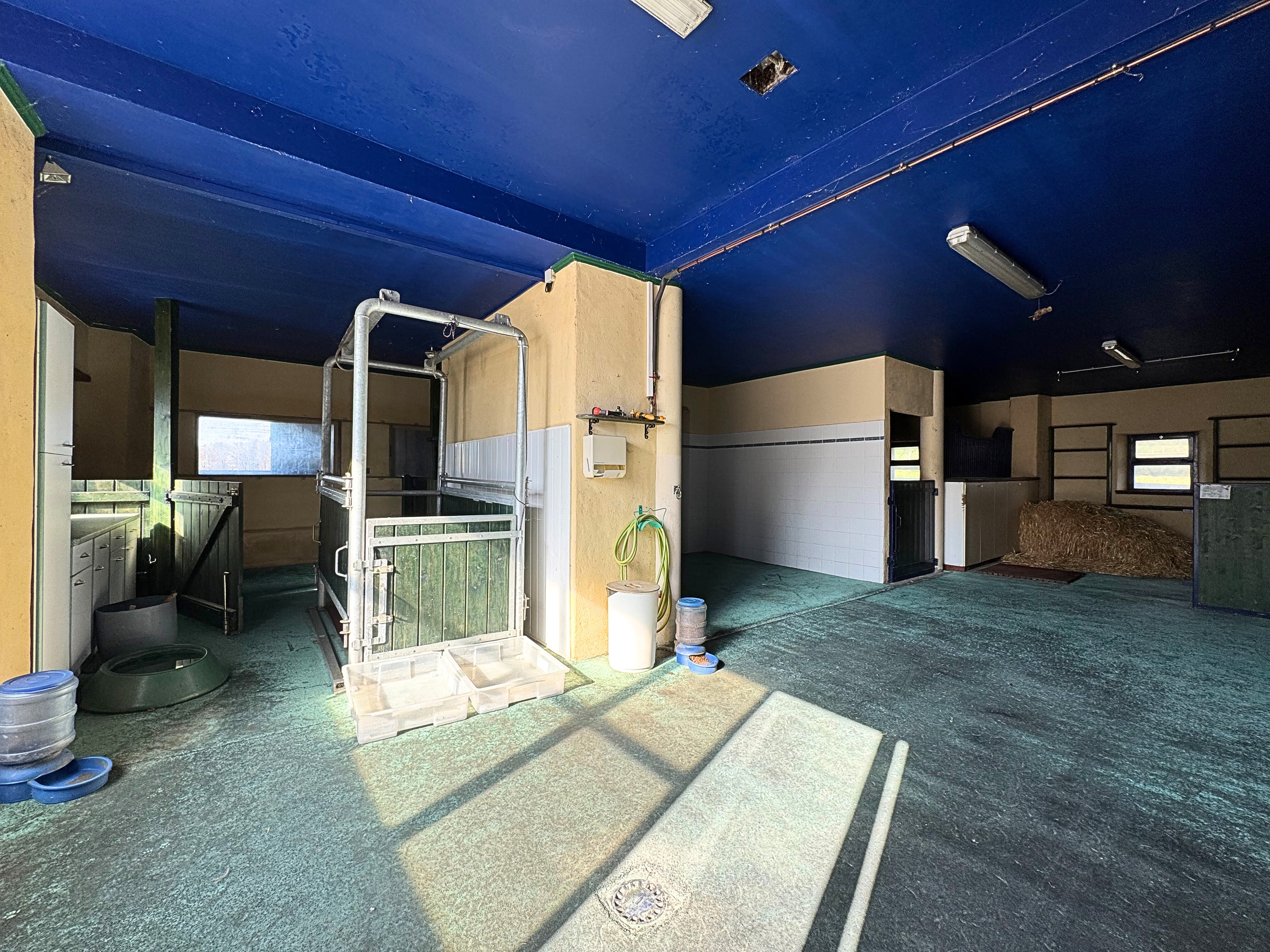 Pferdestall bzw. Stallraum mit Boxen