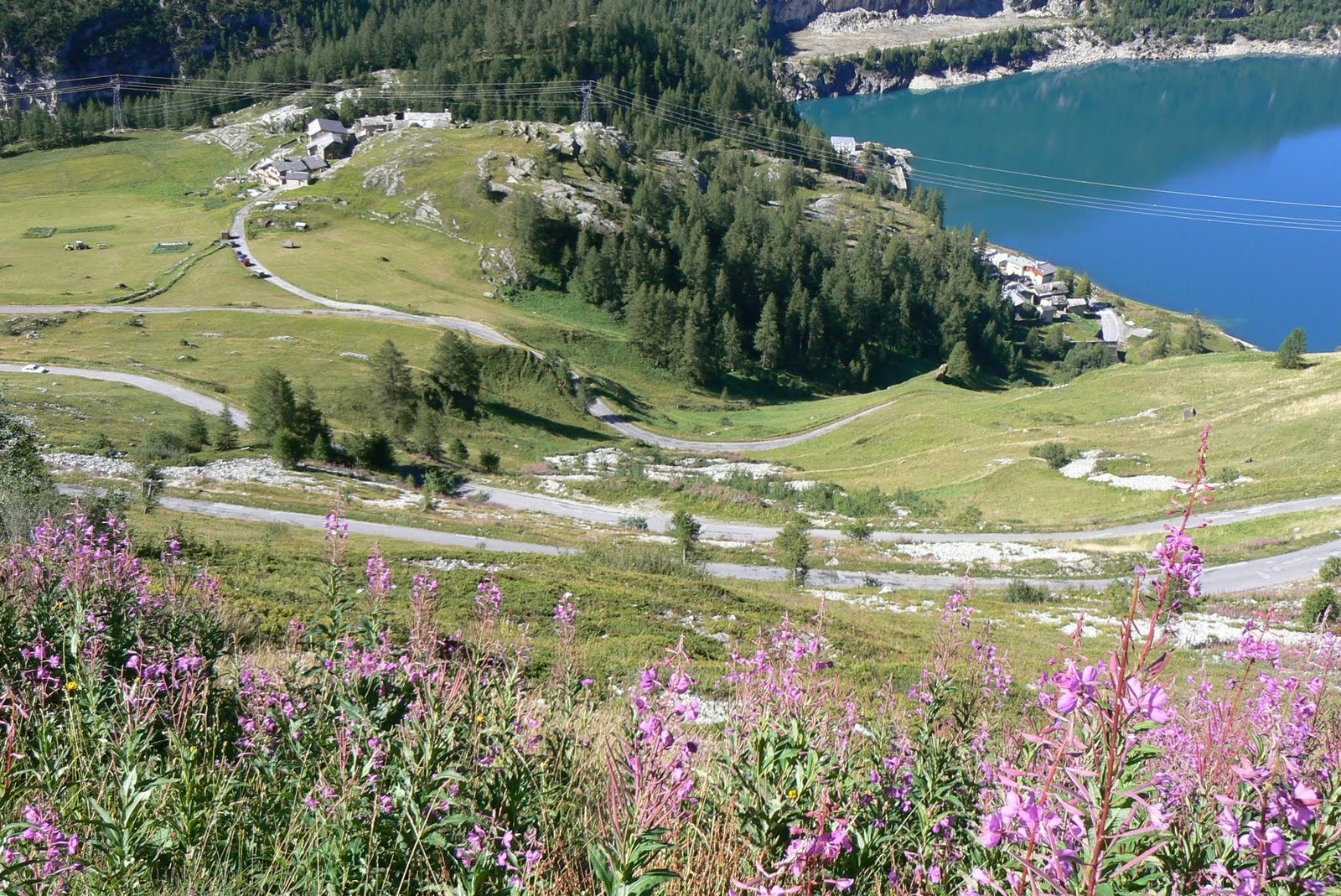 Alpine Landschaft mit See und Serpentinenstraße