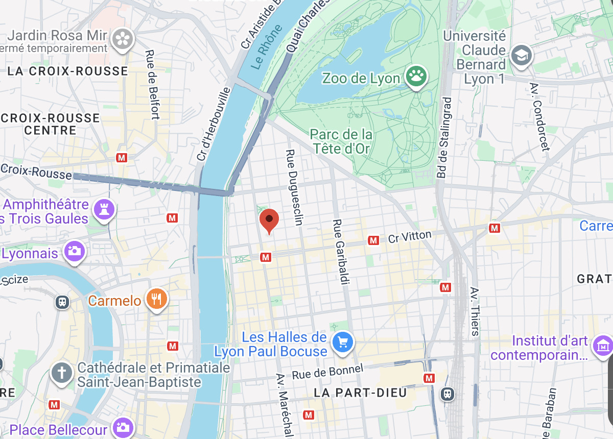 Kartenansicht von Lyon mit markiertem Standort
