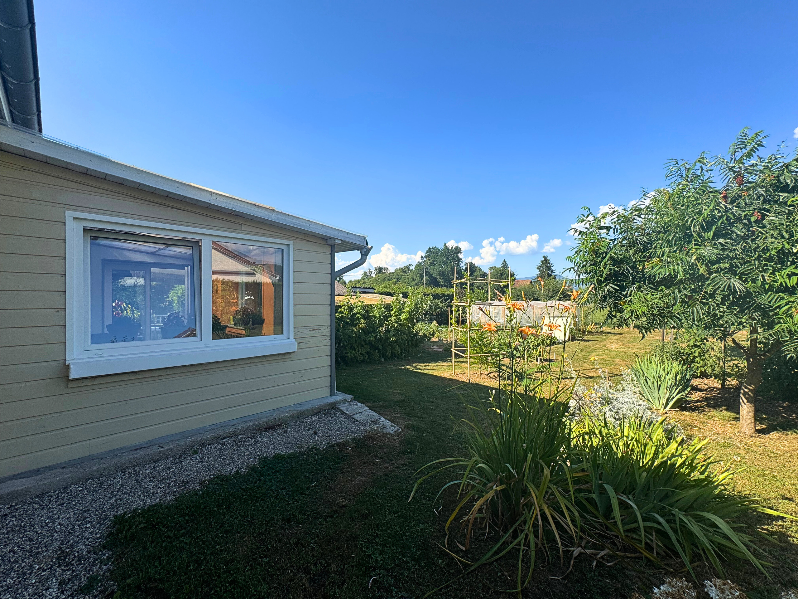 Gartenansicht eines eingeschossigen Hauses