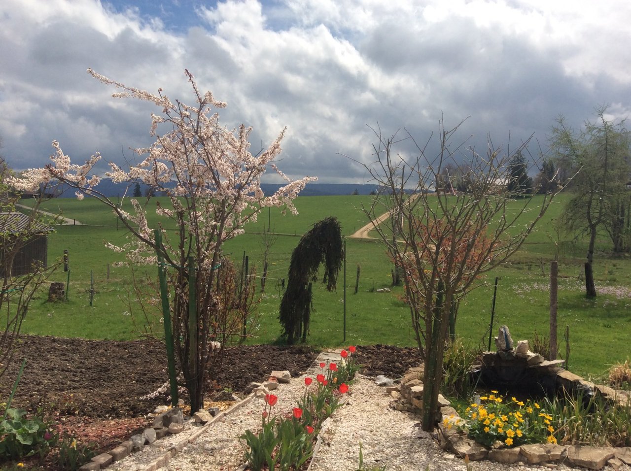 Ländlicher Garten mit Blüten und Feldblick