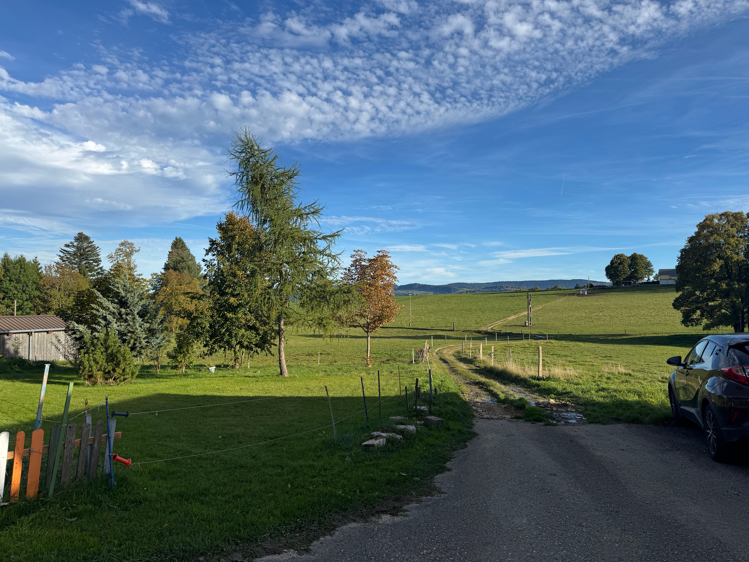 Landschaft mit Wiese und Zufahrt