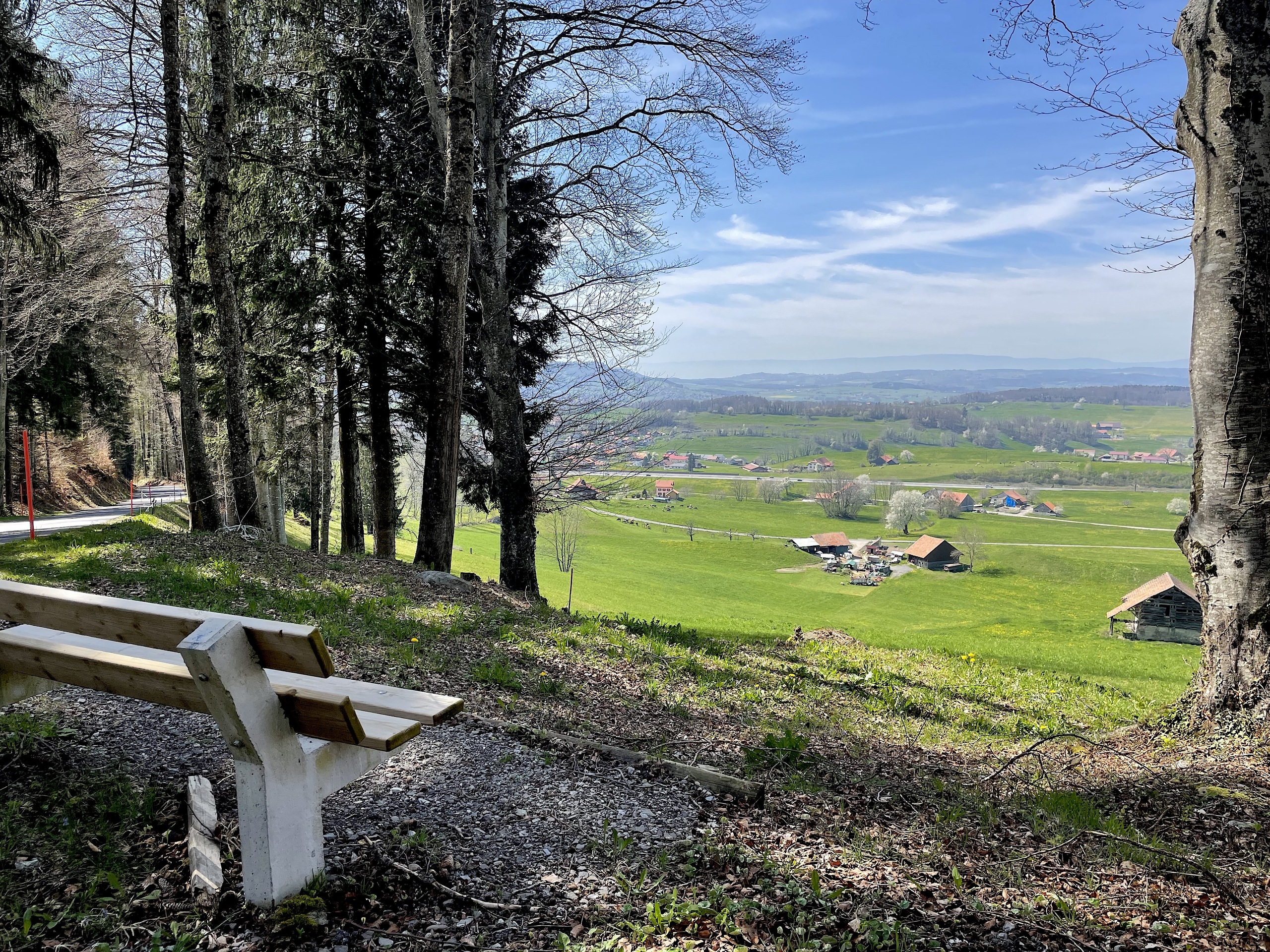 Landschaftsblick vom Waldrand
