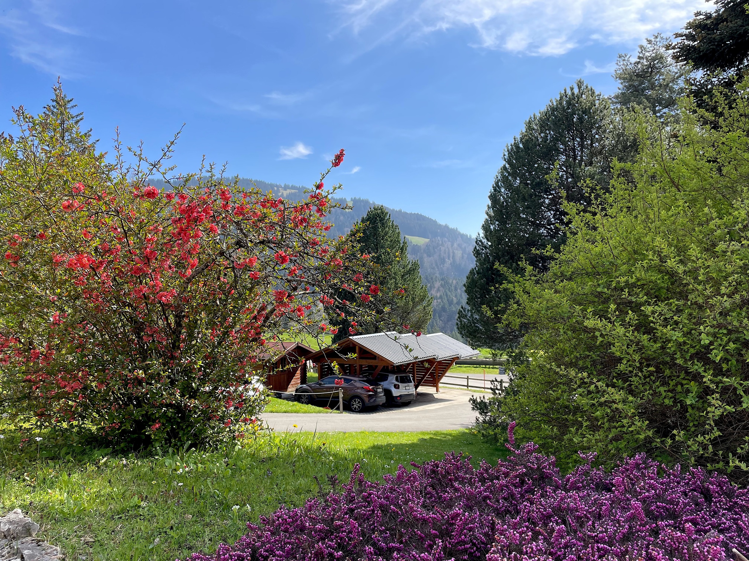 Landschaft mit Carport und Bergblick