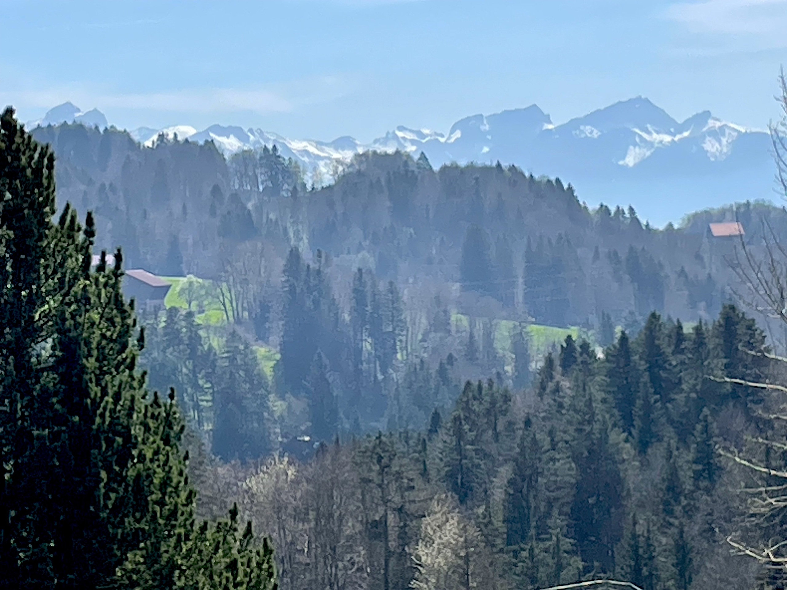 Bergblick über bewaldete Hügel