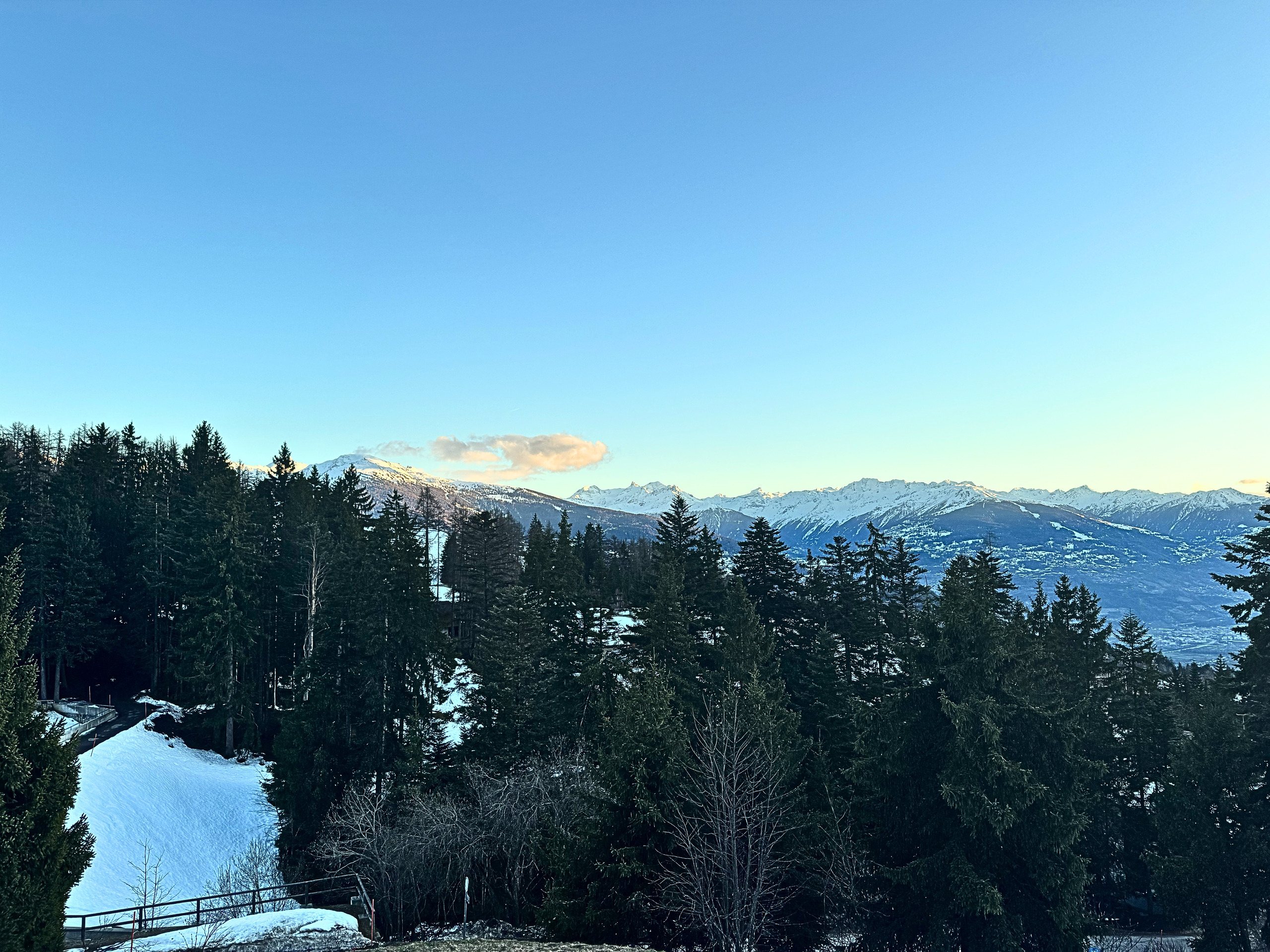Winterliche Berglandschaft mit Wald und Schnee