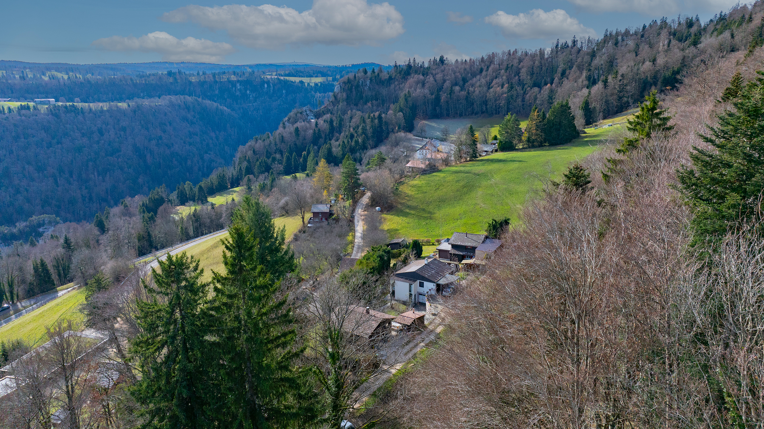 Alpines Tal mit verstreuten Häusern