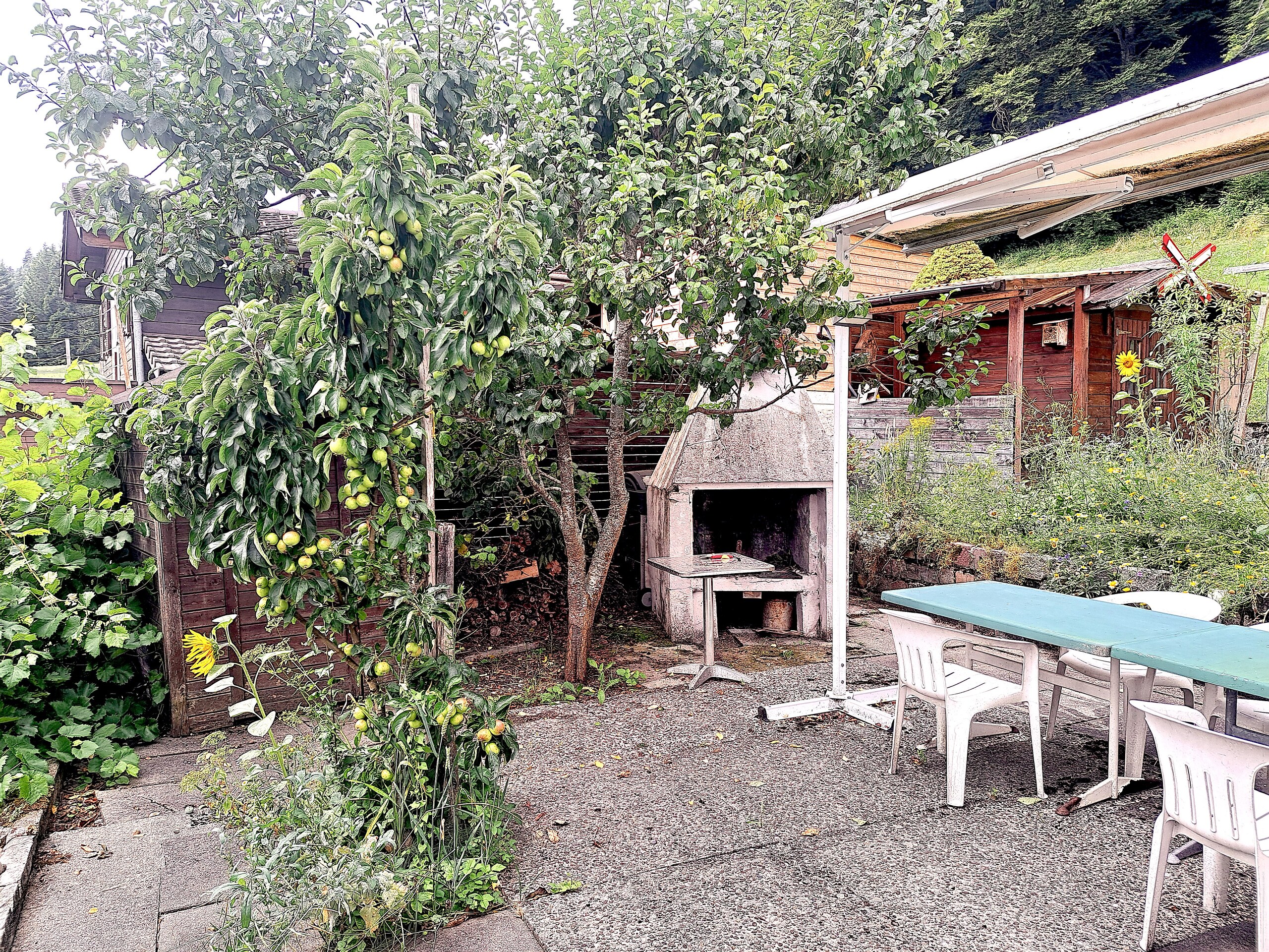 Gemütlicher Garten mit Terrasse und Grillbereich