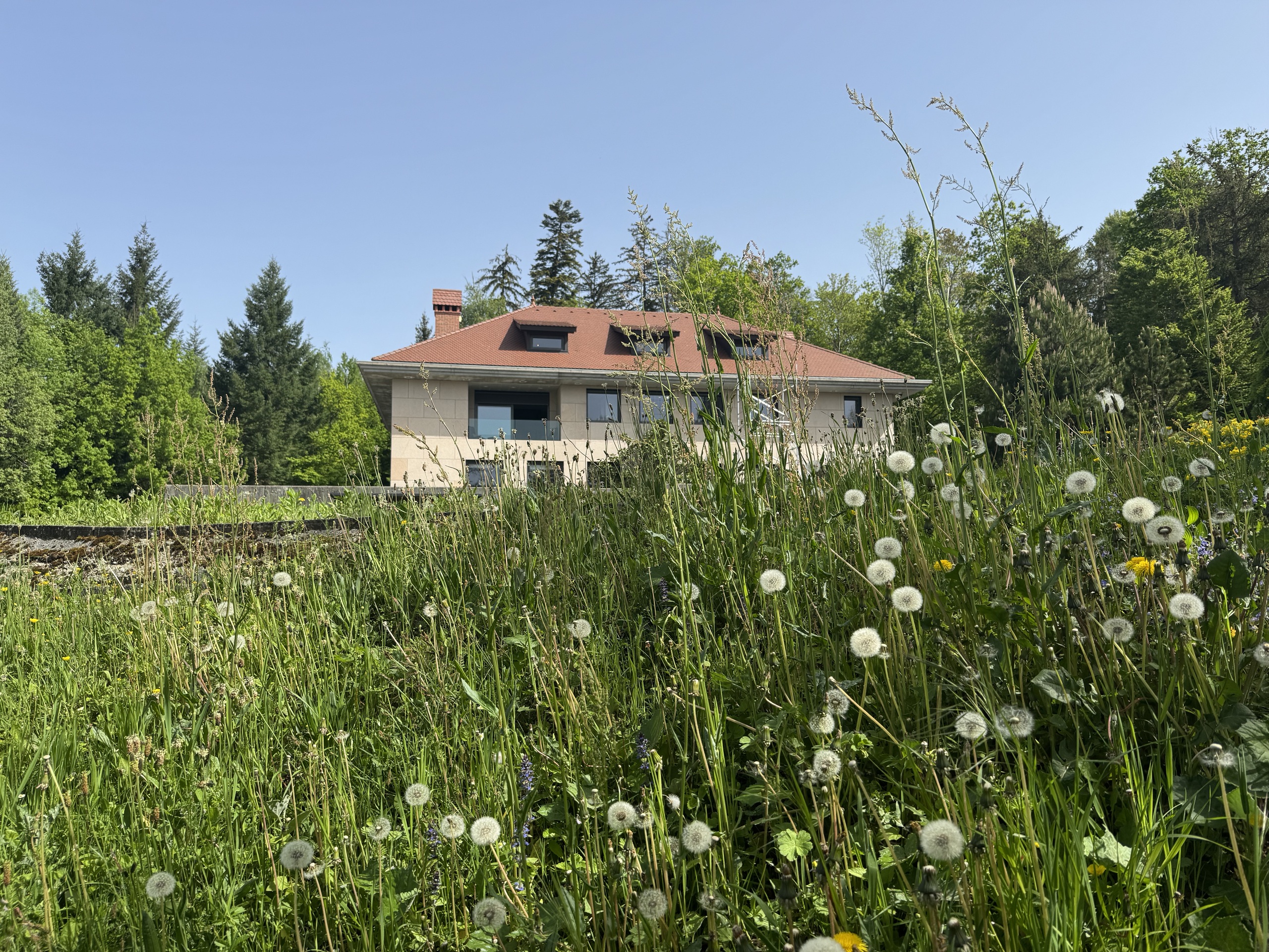 Haus in grüner Umgebung