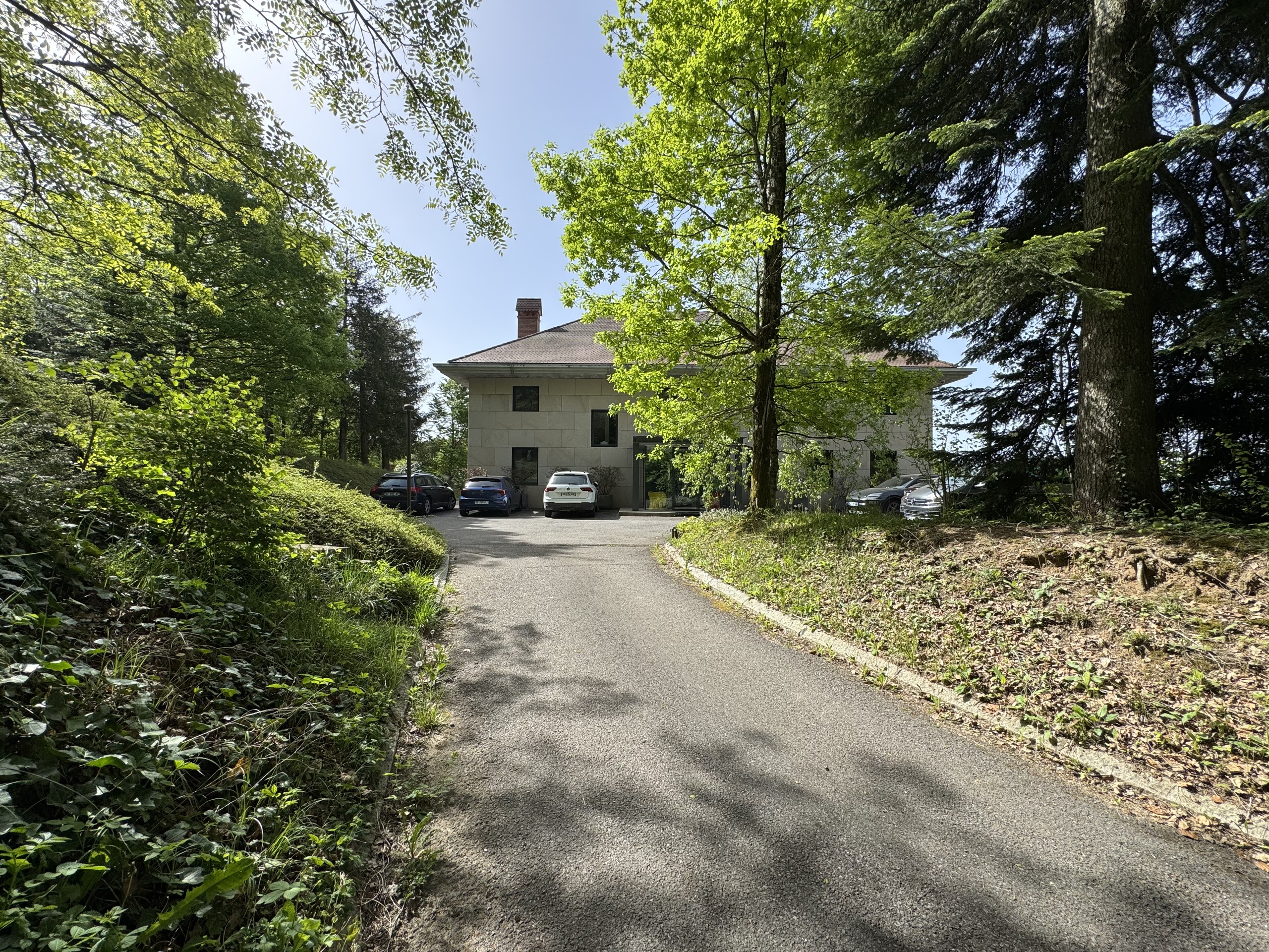 Einfahrt zu einem modernen Haus im Grünen