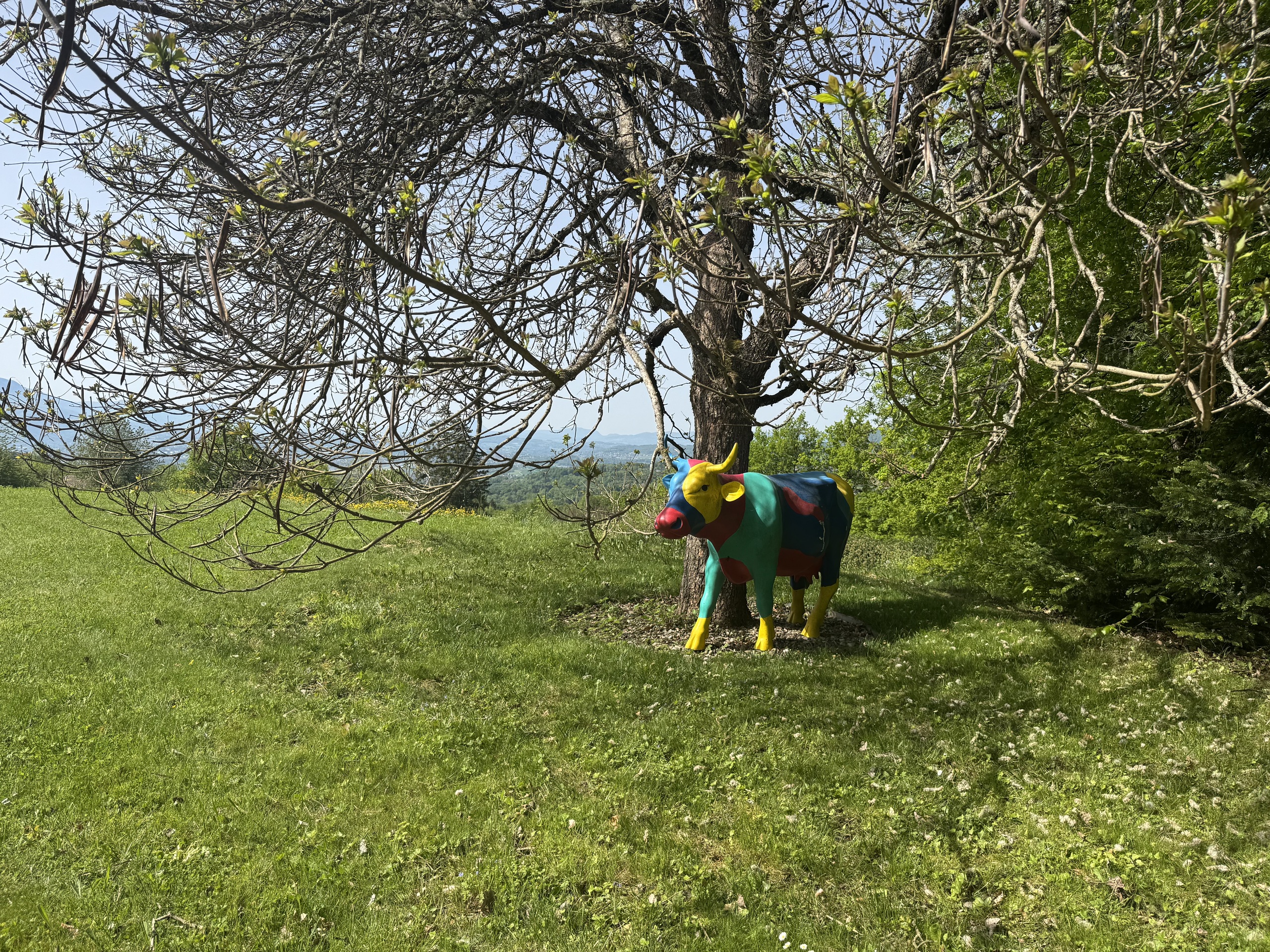 Wiese mit bunter Kuh-Skulptur