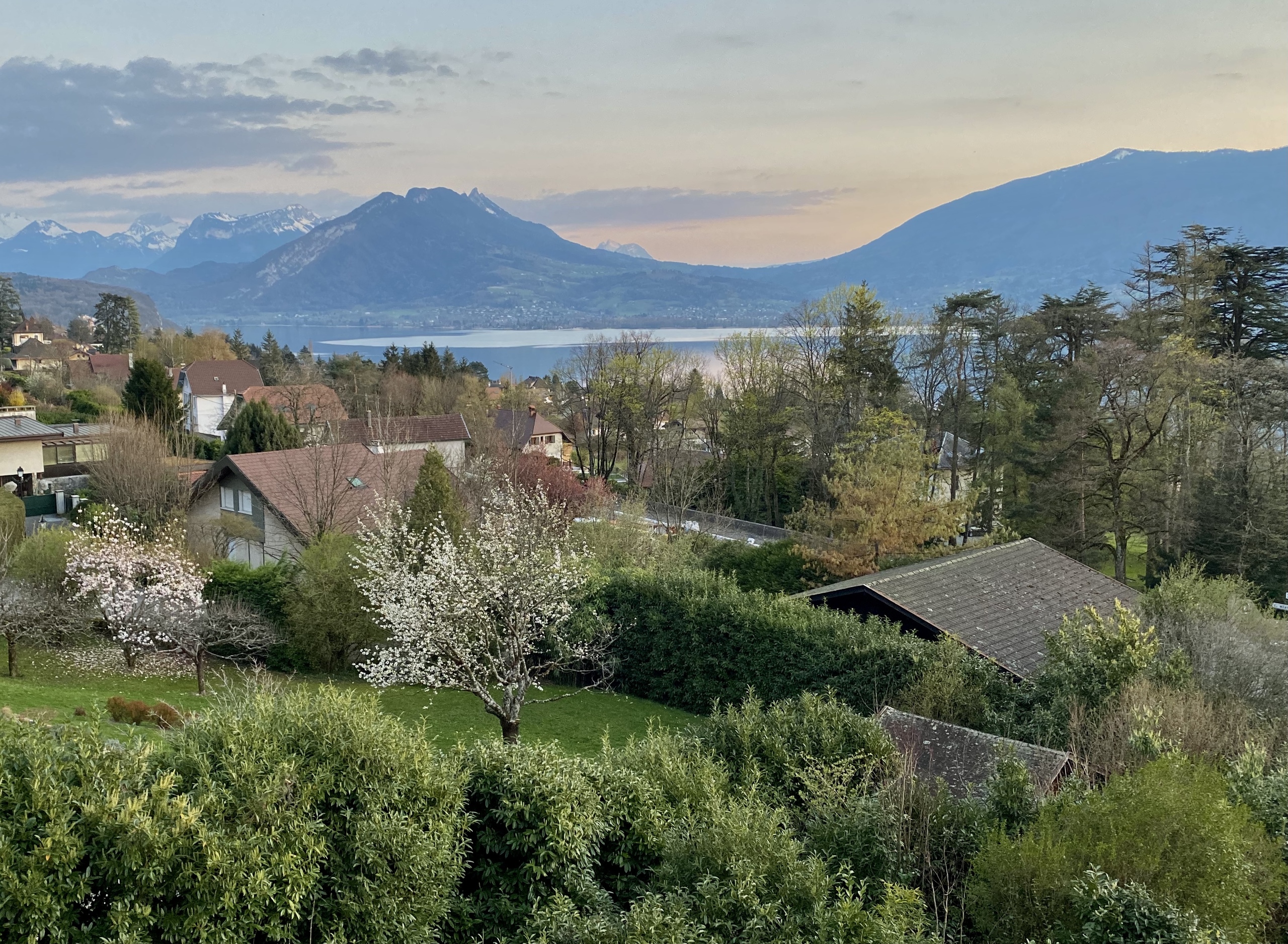 See- und Bergpanorama mit Wohnsiedlung