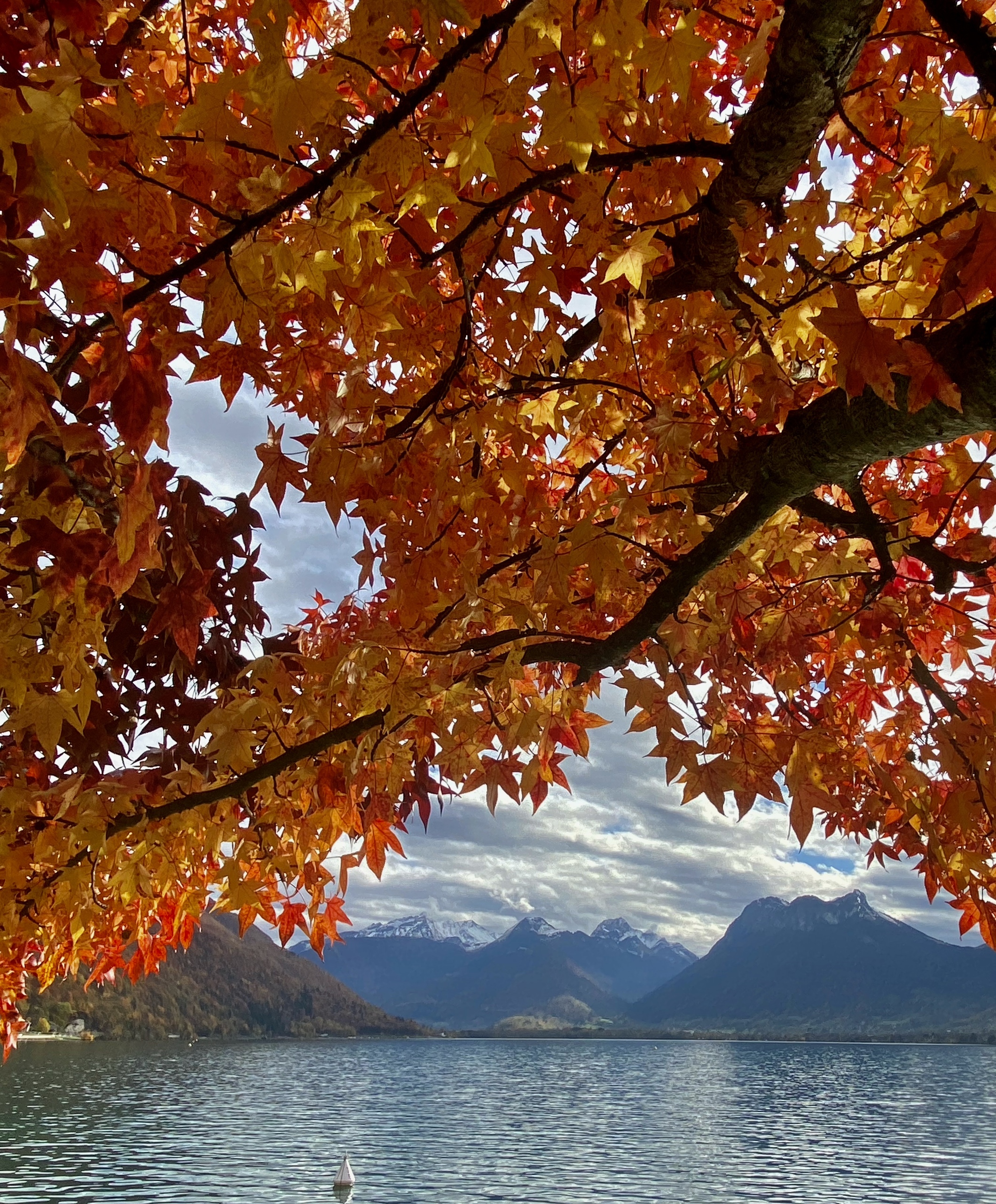 Herbstliche Seelandschaft mit Bergpanorama
