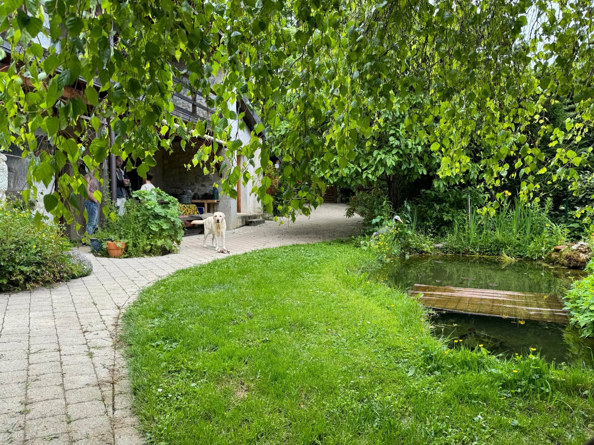 Garten mit Teich und überdachter Terrasse