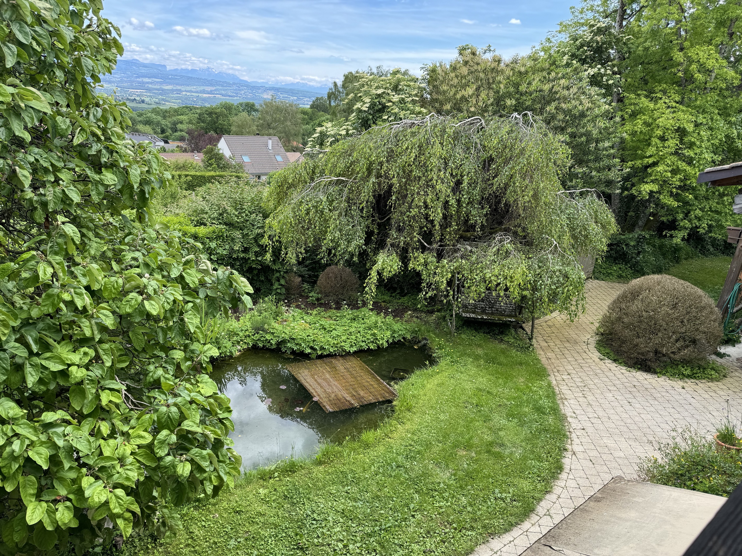 Großer, grüner Garten mit Teich und Bergblick