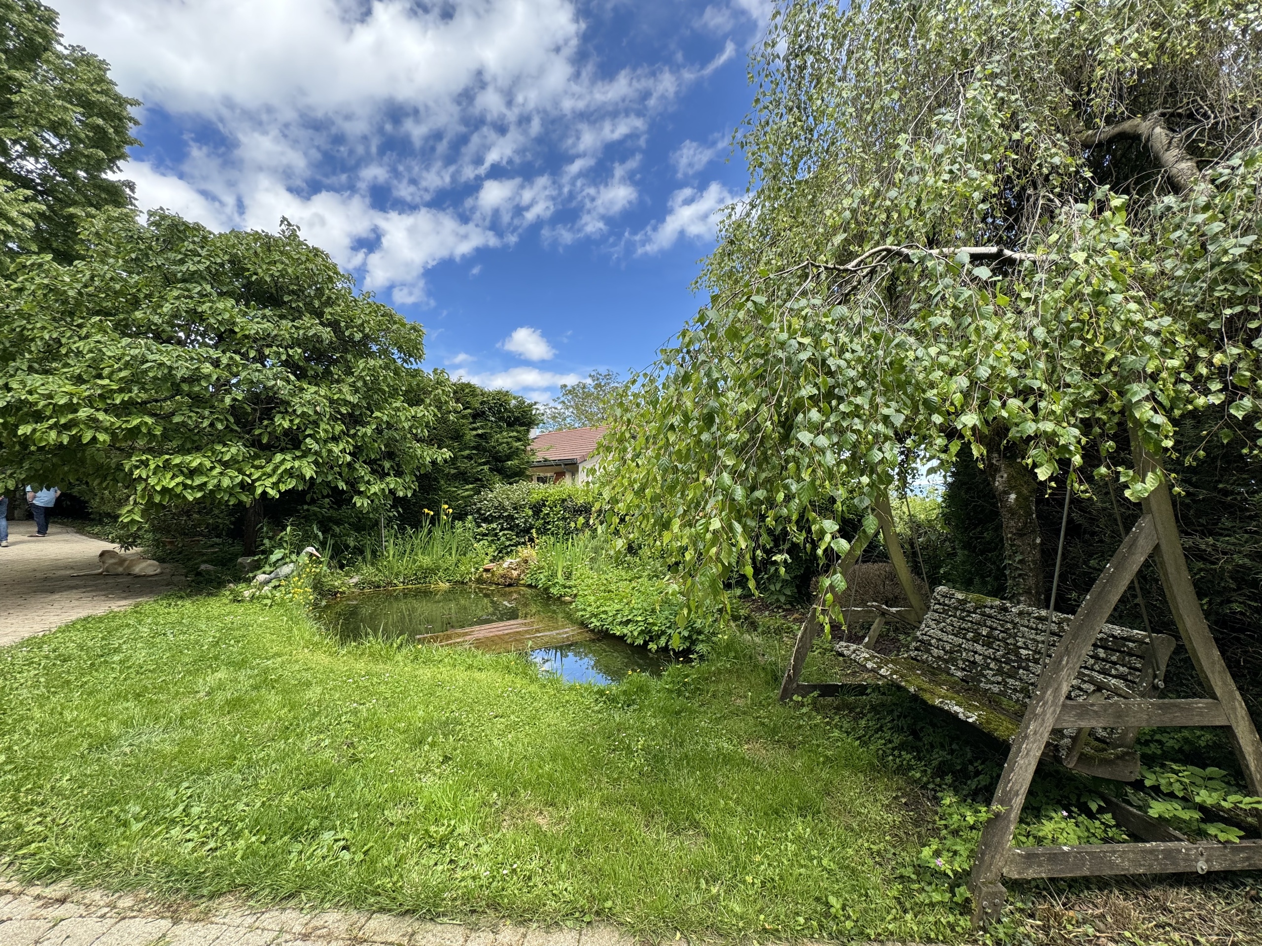 Üppiger Garten mit Teich und Baumbestand