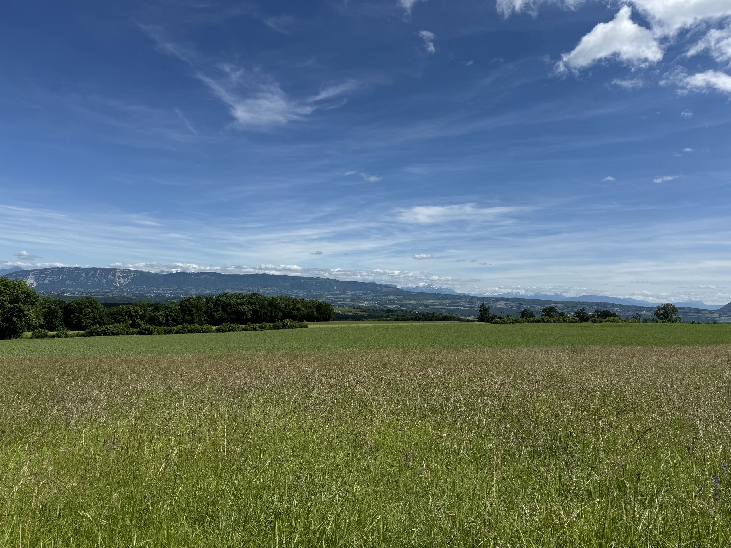 Landschaft mit Wiesen und Bergpanorama
