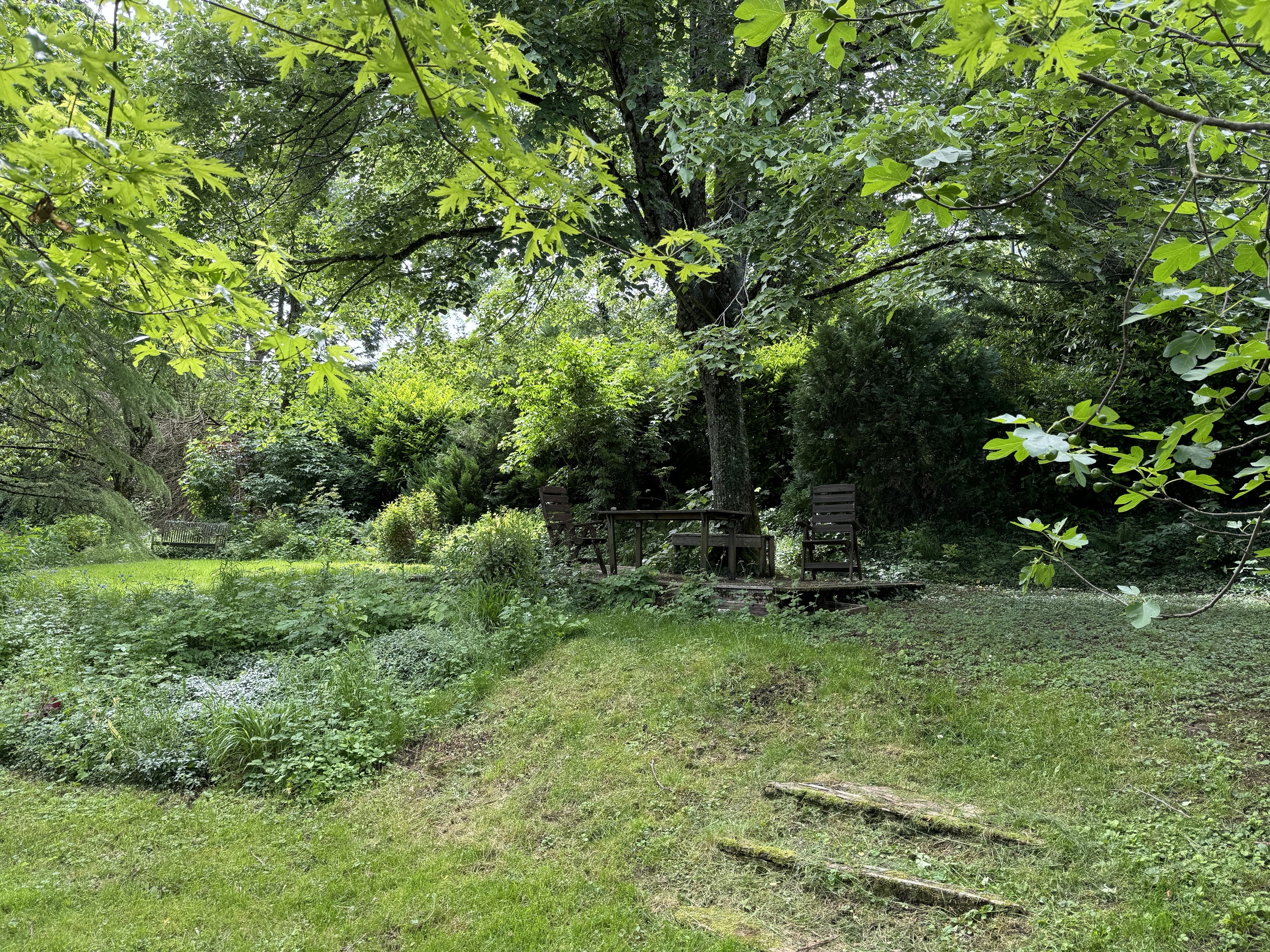 Großer grüner Garten mit Sitzgruppe unter Bäumen