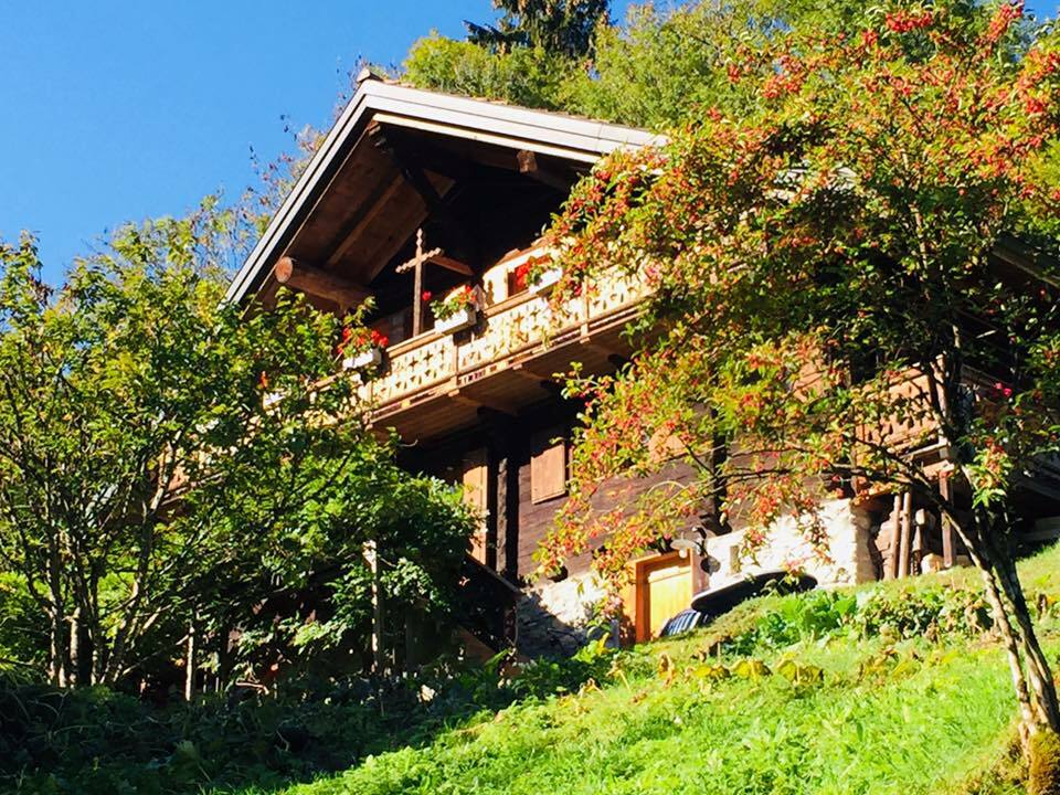 Alpenchalet mit Balkon im Grünen