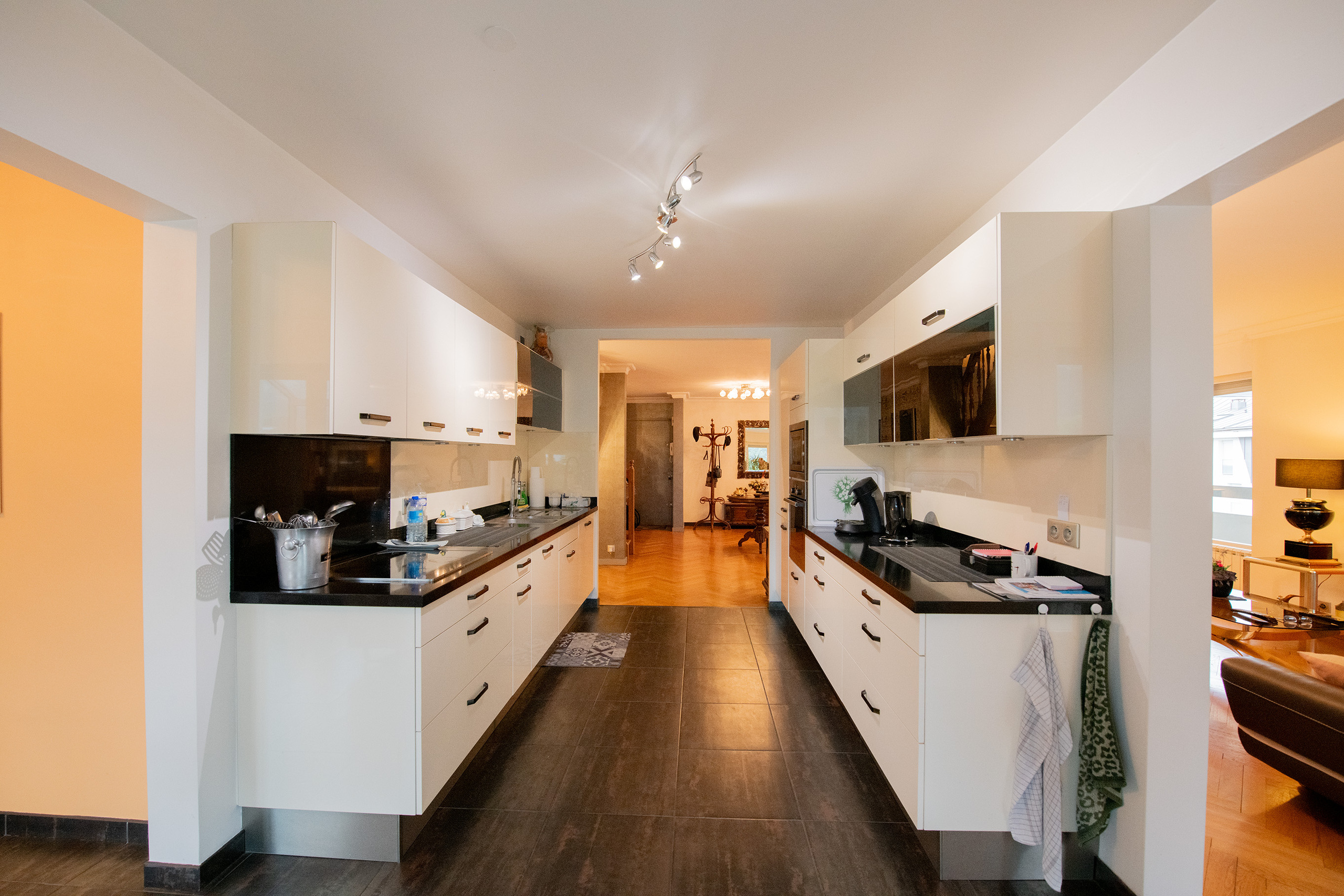 Moderne Küche mit Durchgang ins Wohn-/Esszimmer