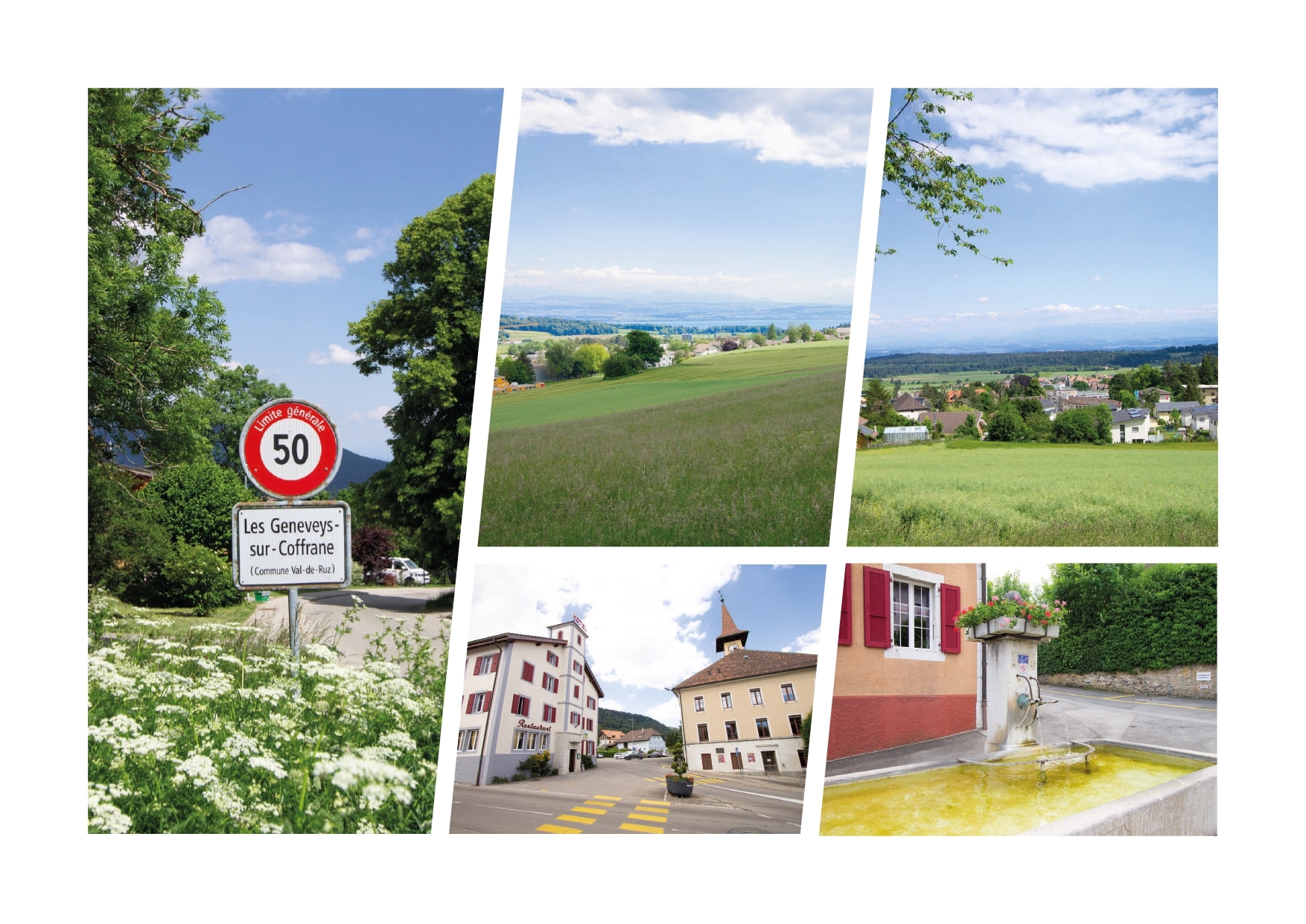 Ländliche Schweizer Umgebung mit Dorf, Wiesen und Wegweisern