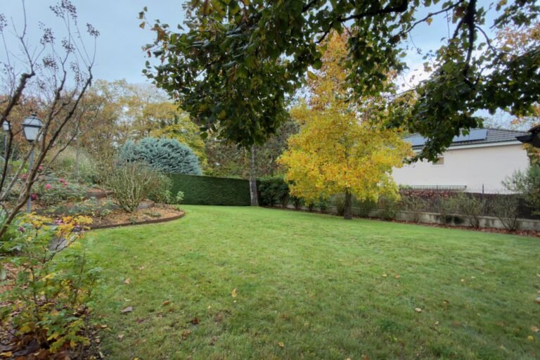Großer gepflegter Garten mit Rasen und Bäumen