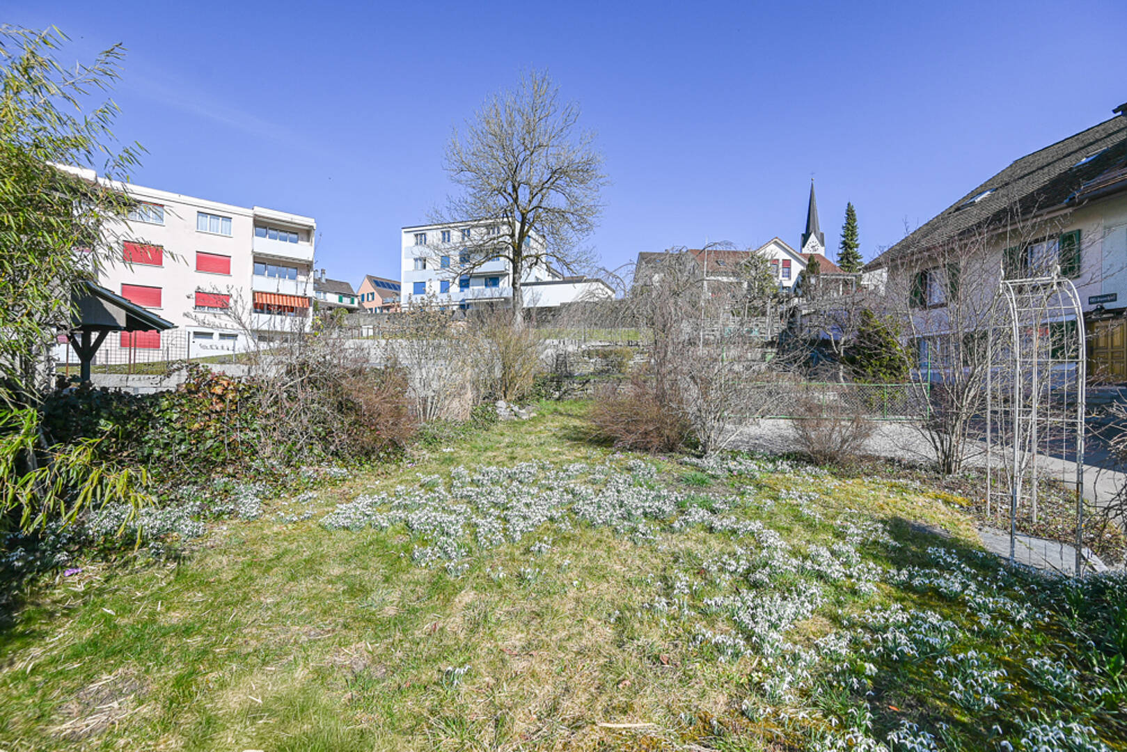 Grüne Gartenfläche in Wohnumgebung