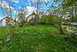 Garten mit Bäumen und Wiese