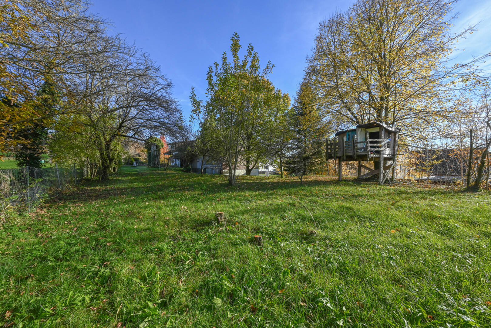 Großer Garten mit Baumhaus