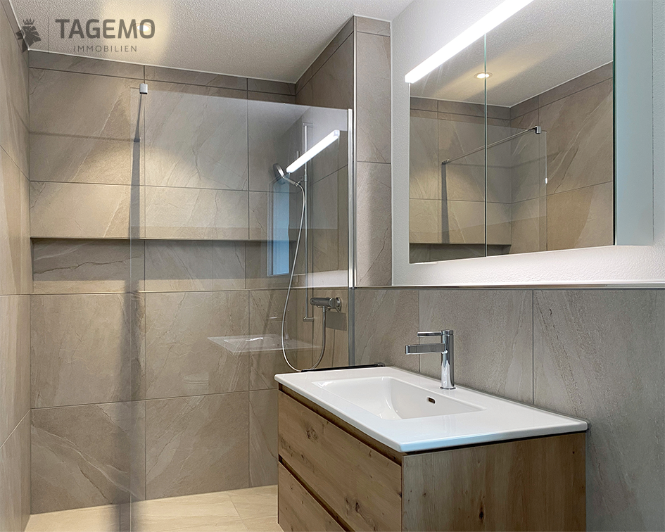 Modernes Badezimmer mit Walk-in-Dusche und Waschtisch