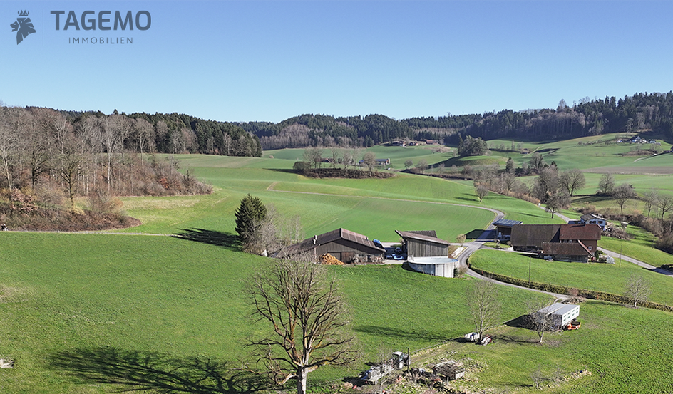Ländliche Landschaft mit Bauernhöfen